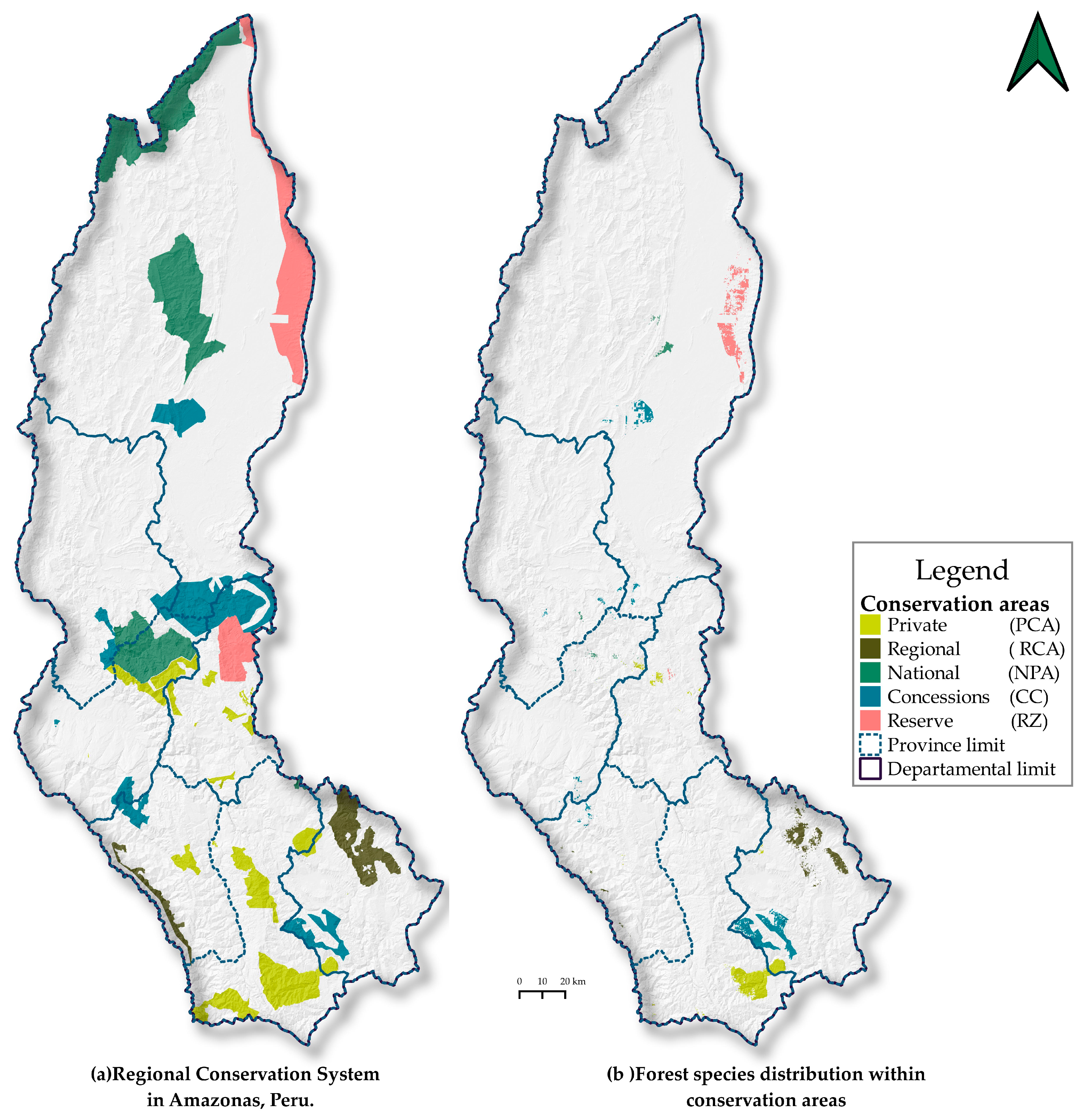 Sustainability Free Full Text Distribution Models Of Timber Species For Forest Conservation And Restoration In The Andean Amazonian Landscape North Of Peru Html