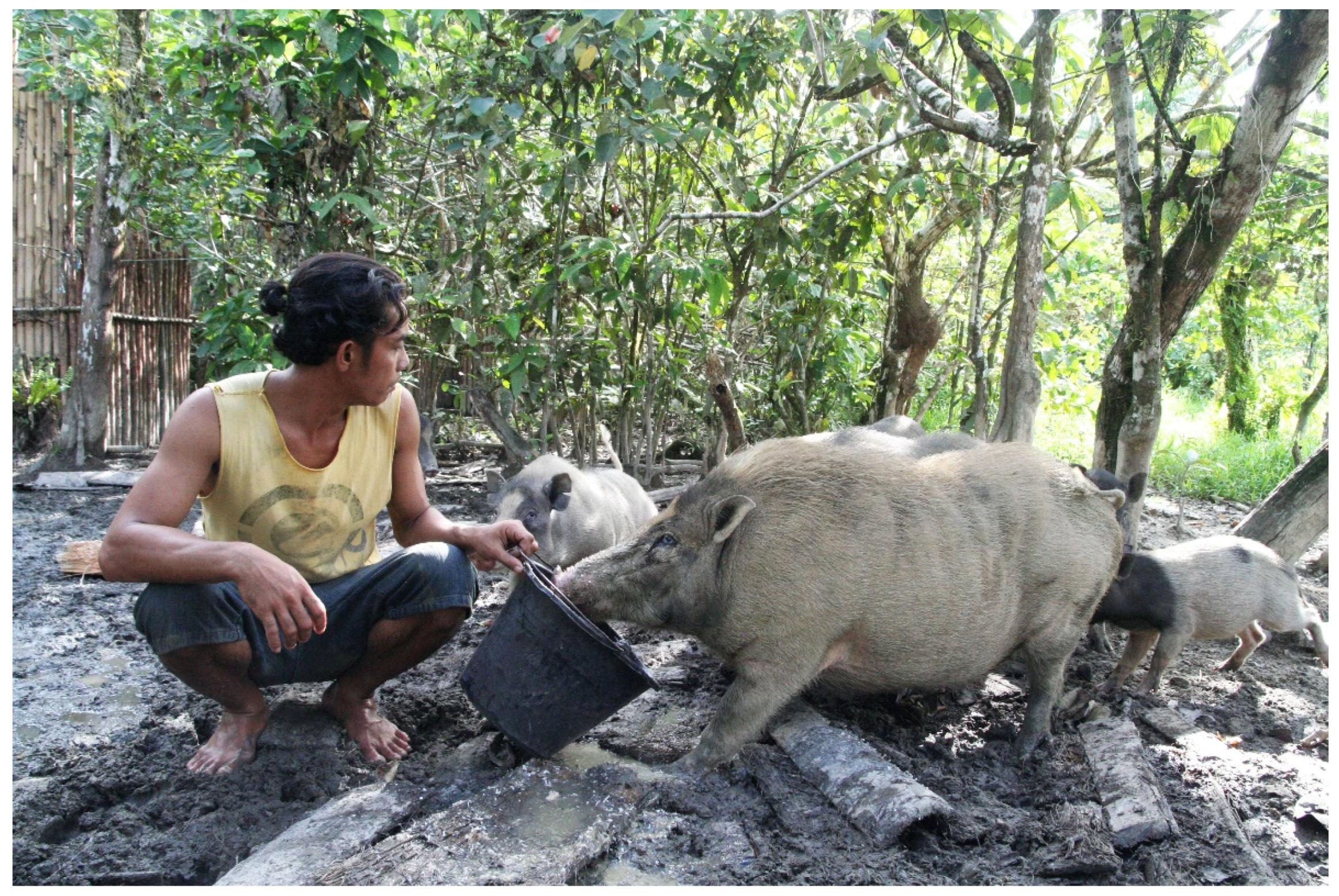 Sustainability 12 07983 g007