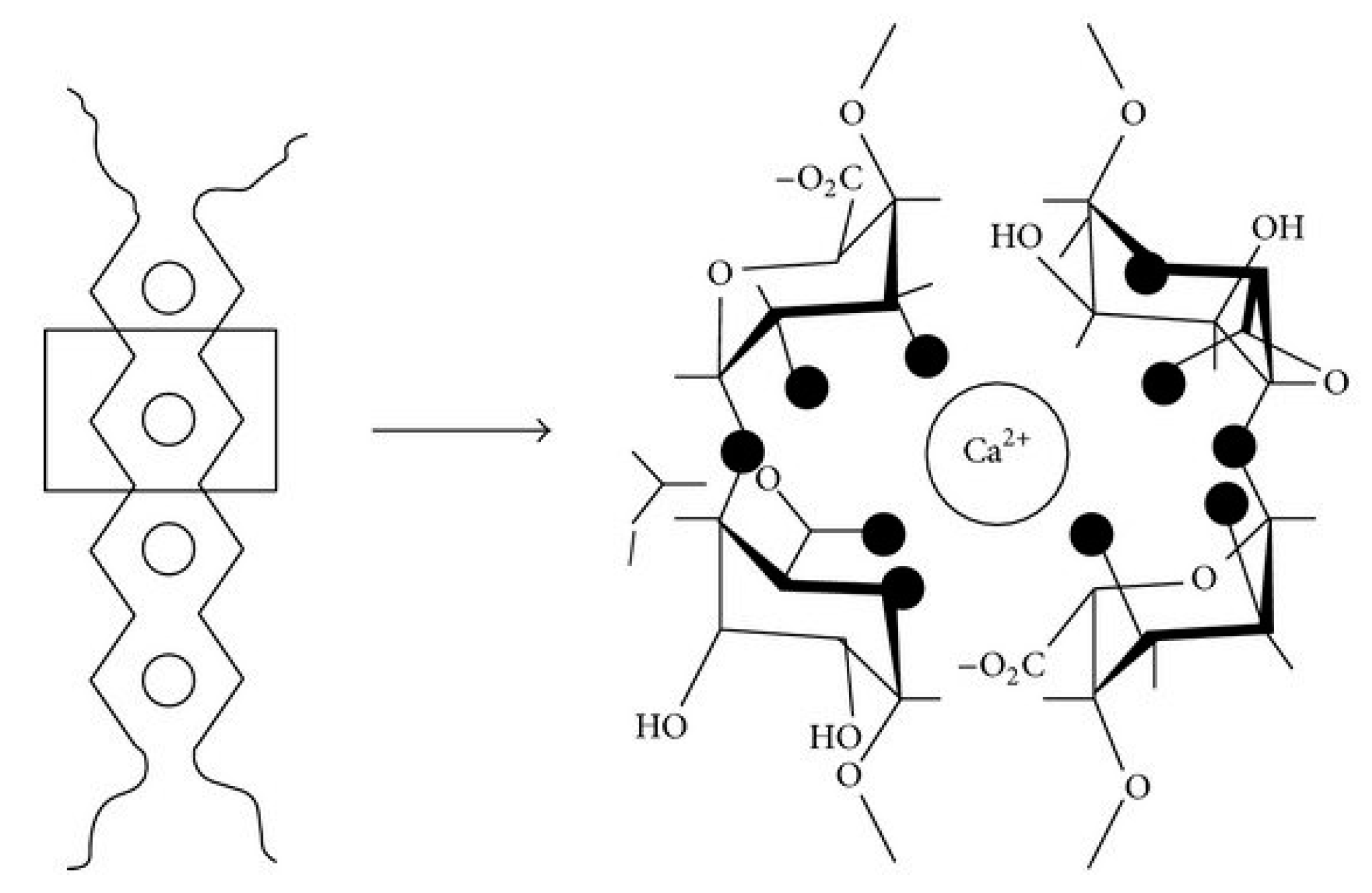 Sustainability 12 08032 g002
