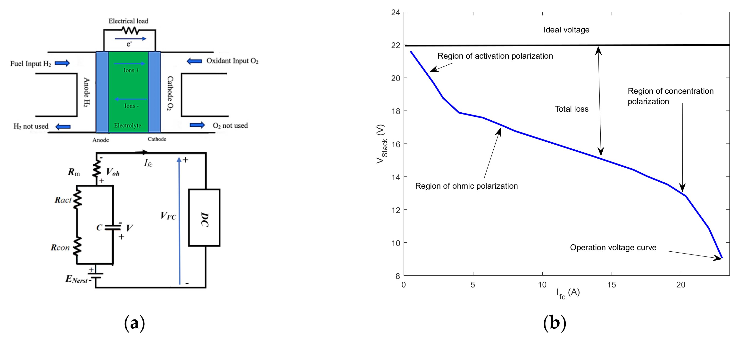 Sustainability 12 08127 g001 Sustainability 12 08127 g001