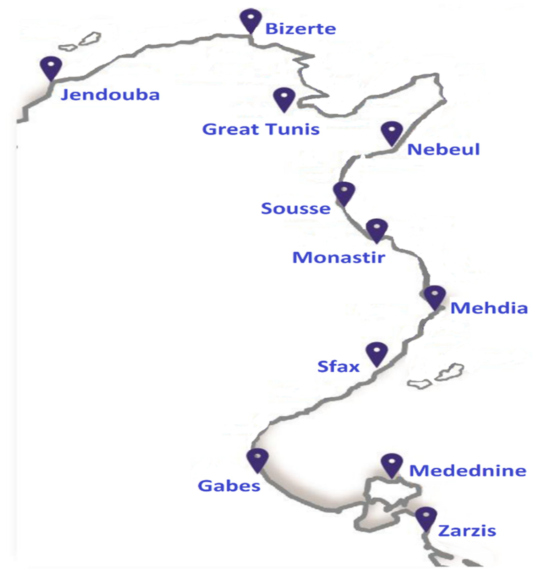 Sustainability 12 08167 g001 Sustainability 12 08167 g001