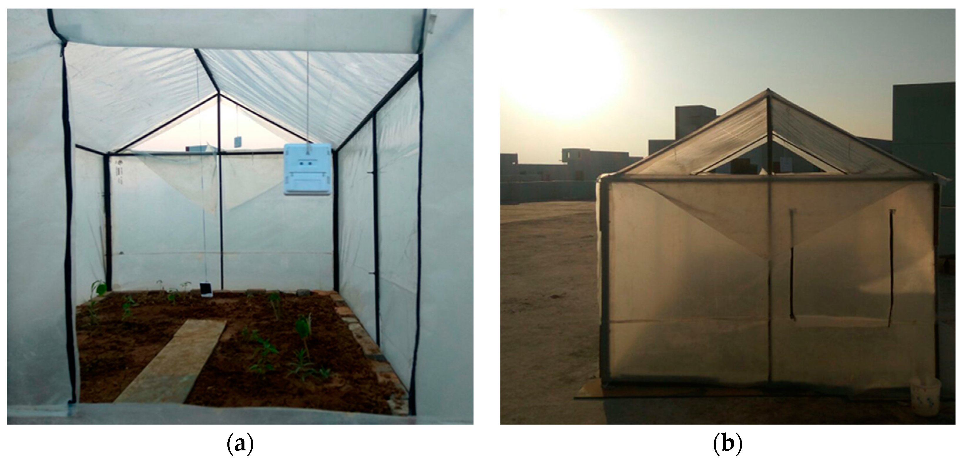 Sustainability 12 08171 g001