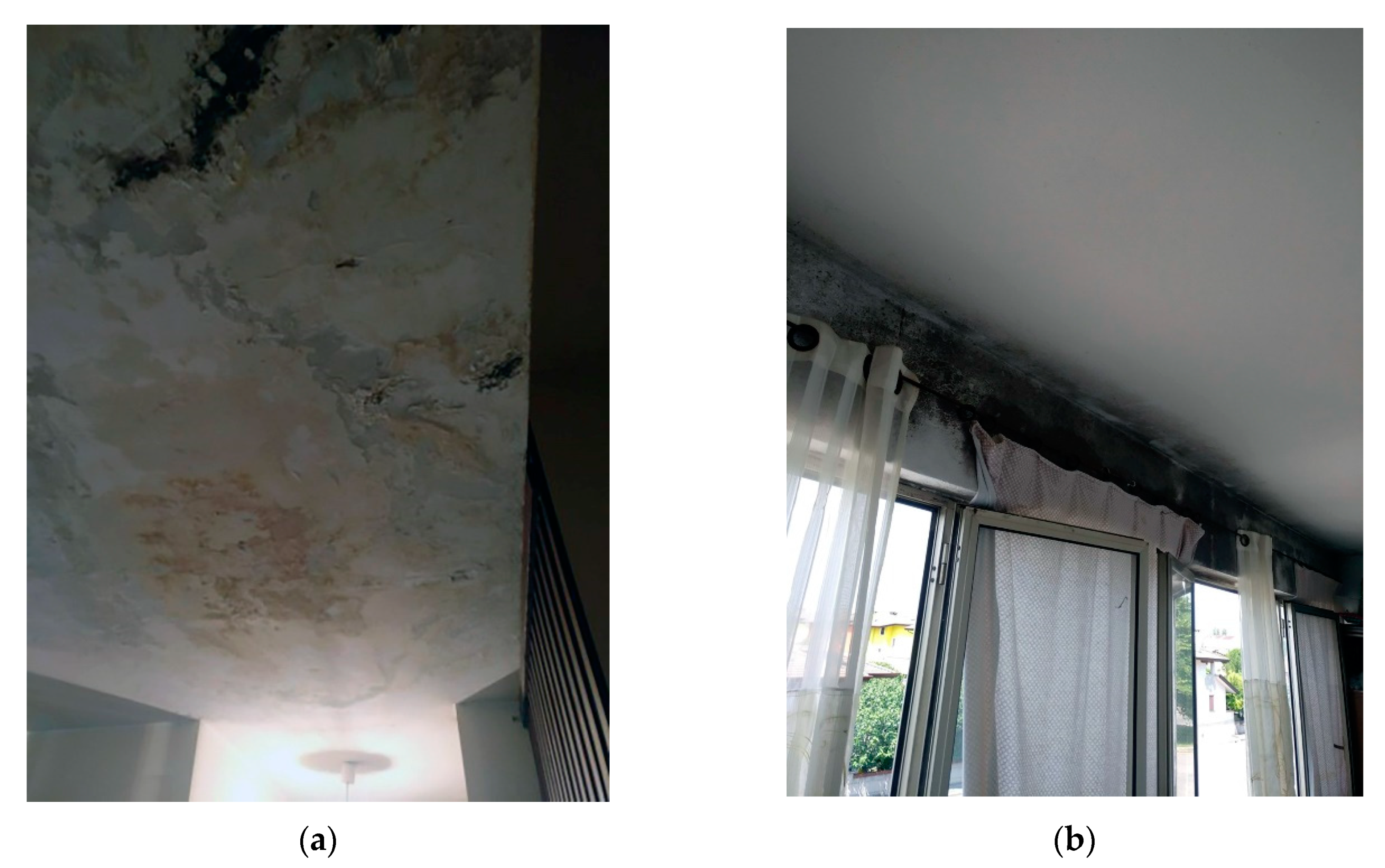 Sustainability 12 08179 g006