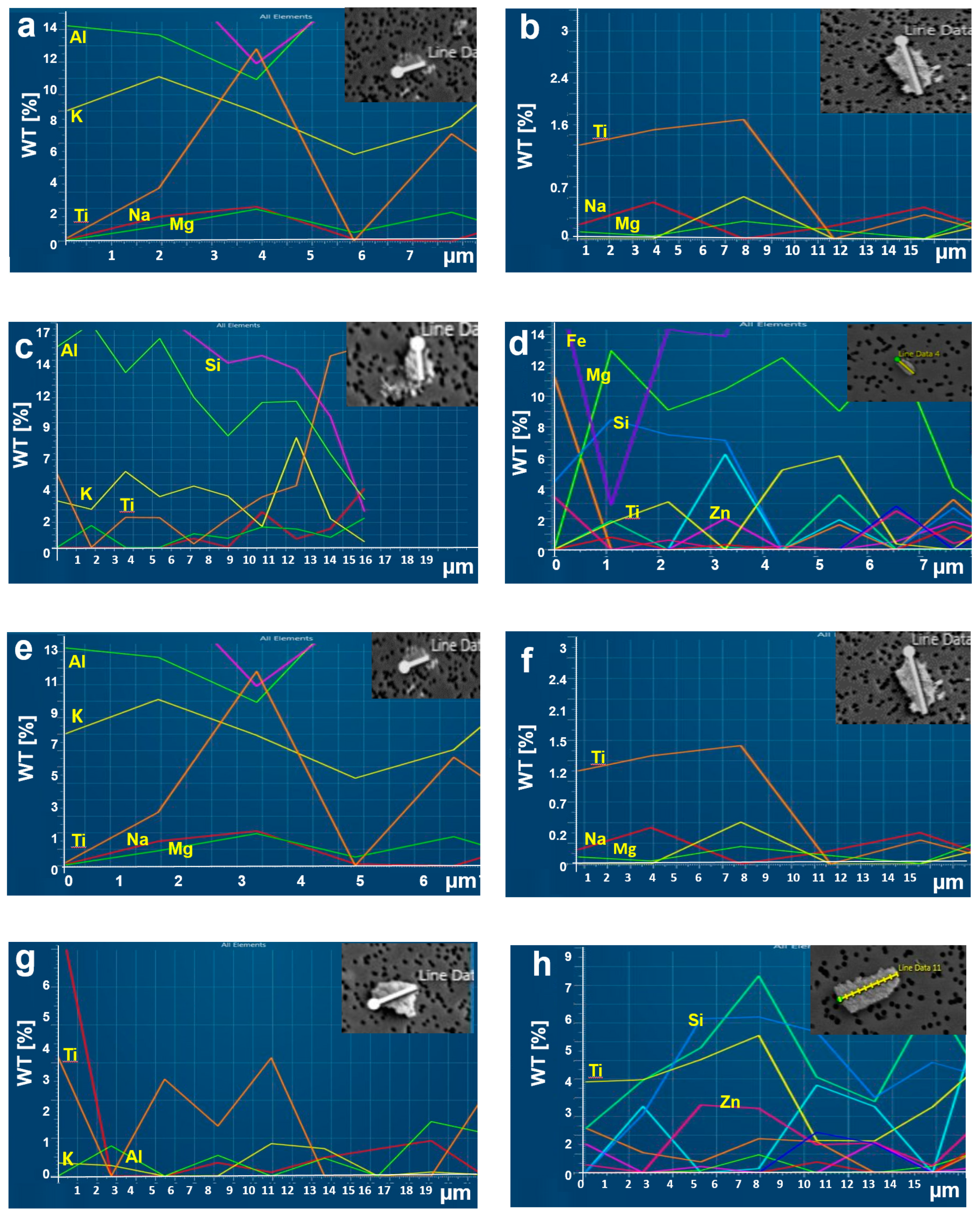 Sustainability 12 08187 g005 Sustainability 12 08187 g005