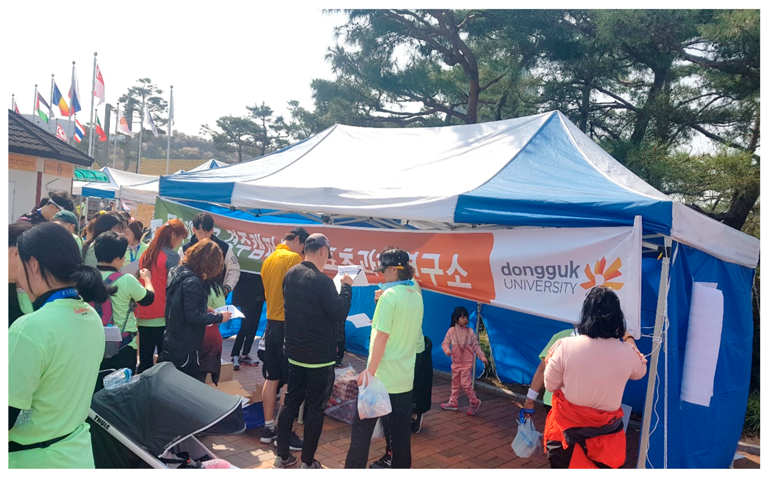 Sustainability 12 08192 g002