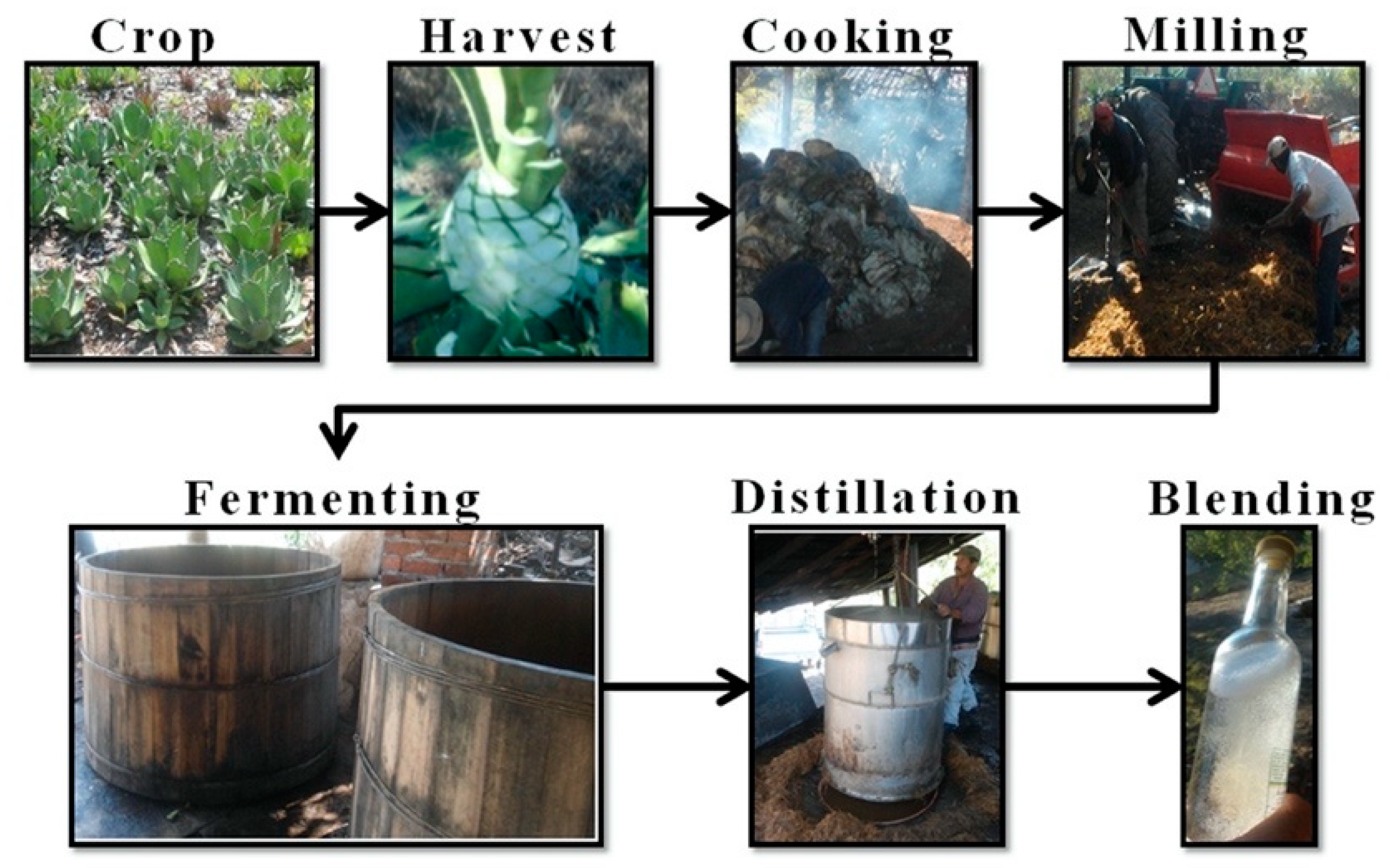 Sustainability 12 08242 g001 Sustainability 12 08242 g001