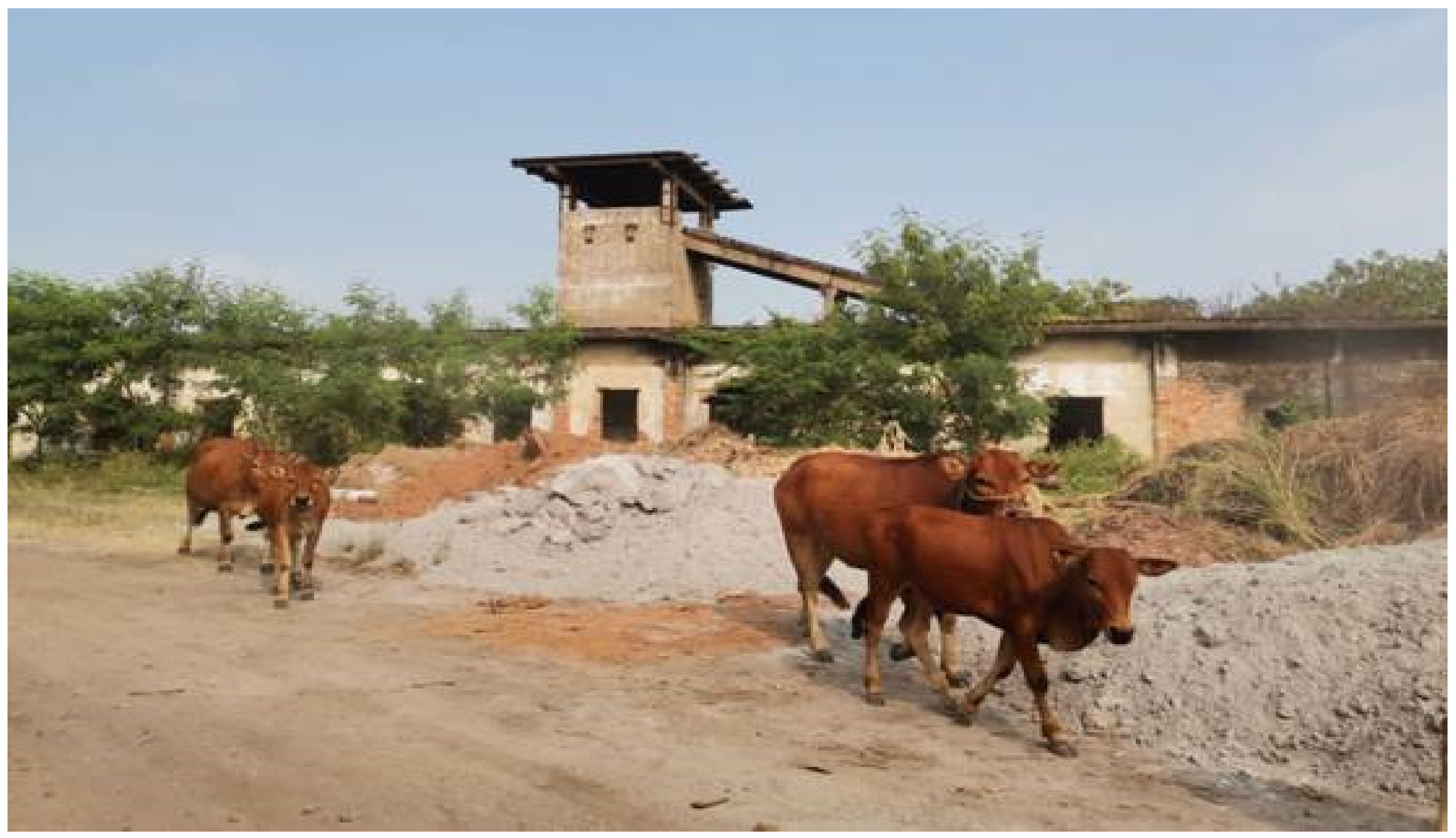 Sustainability 12 08249 g005