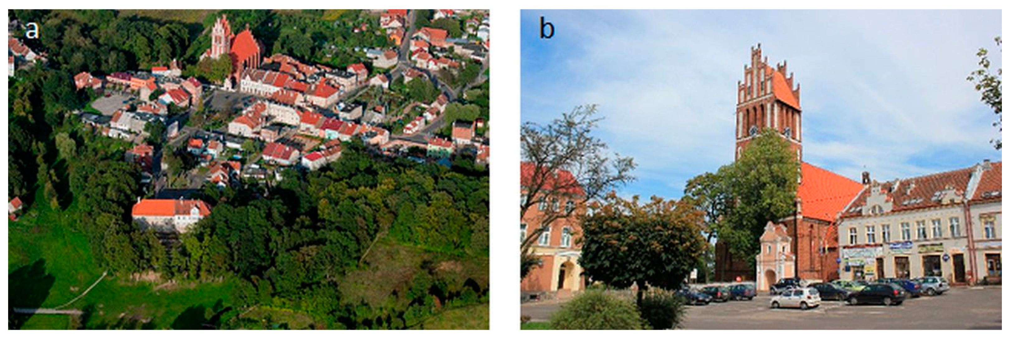 Sustainability 12 08356 g003