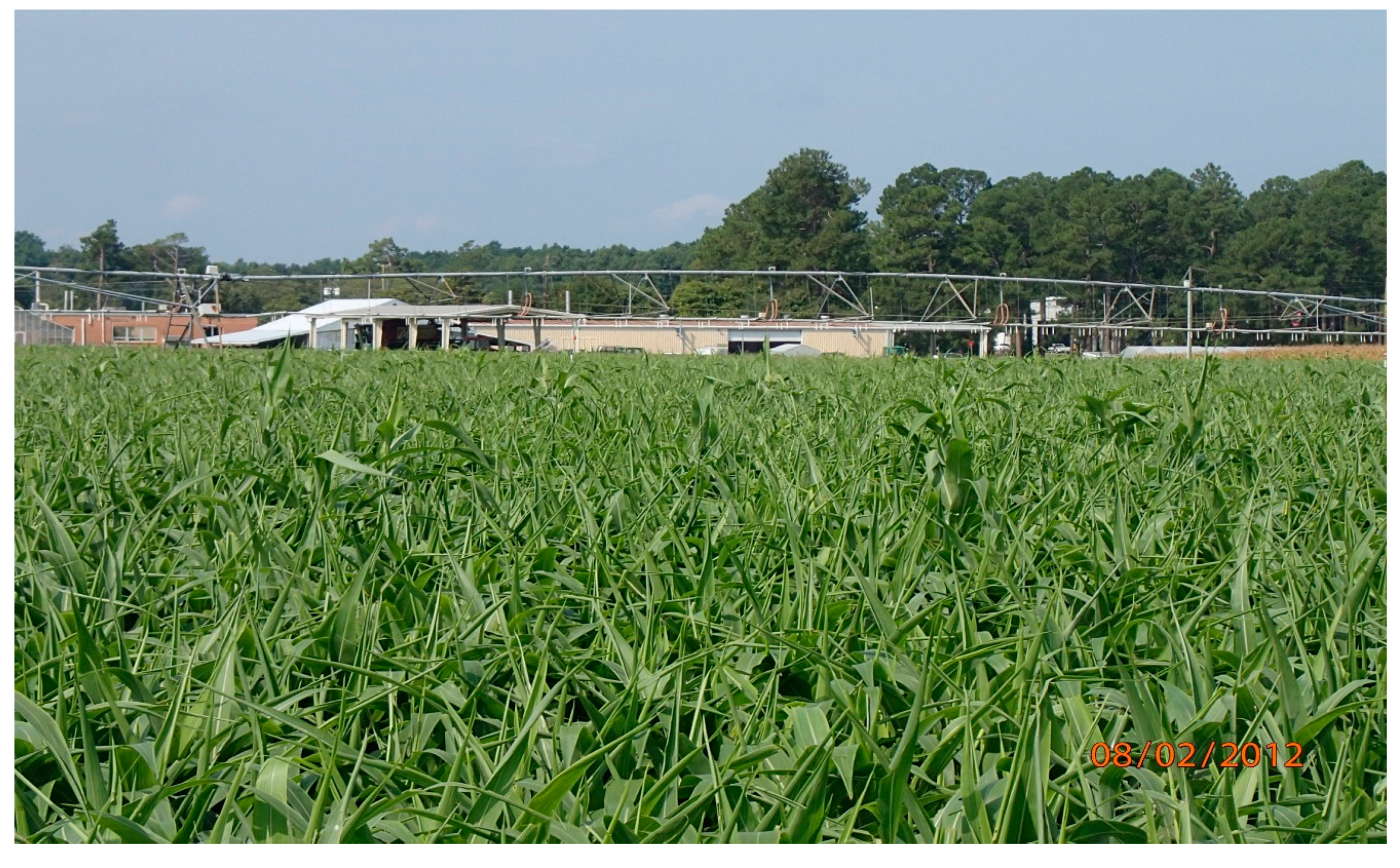 Sustainability 12 08358 g001