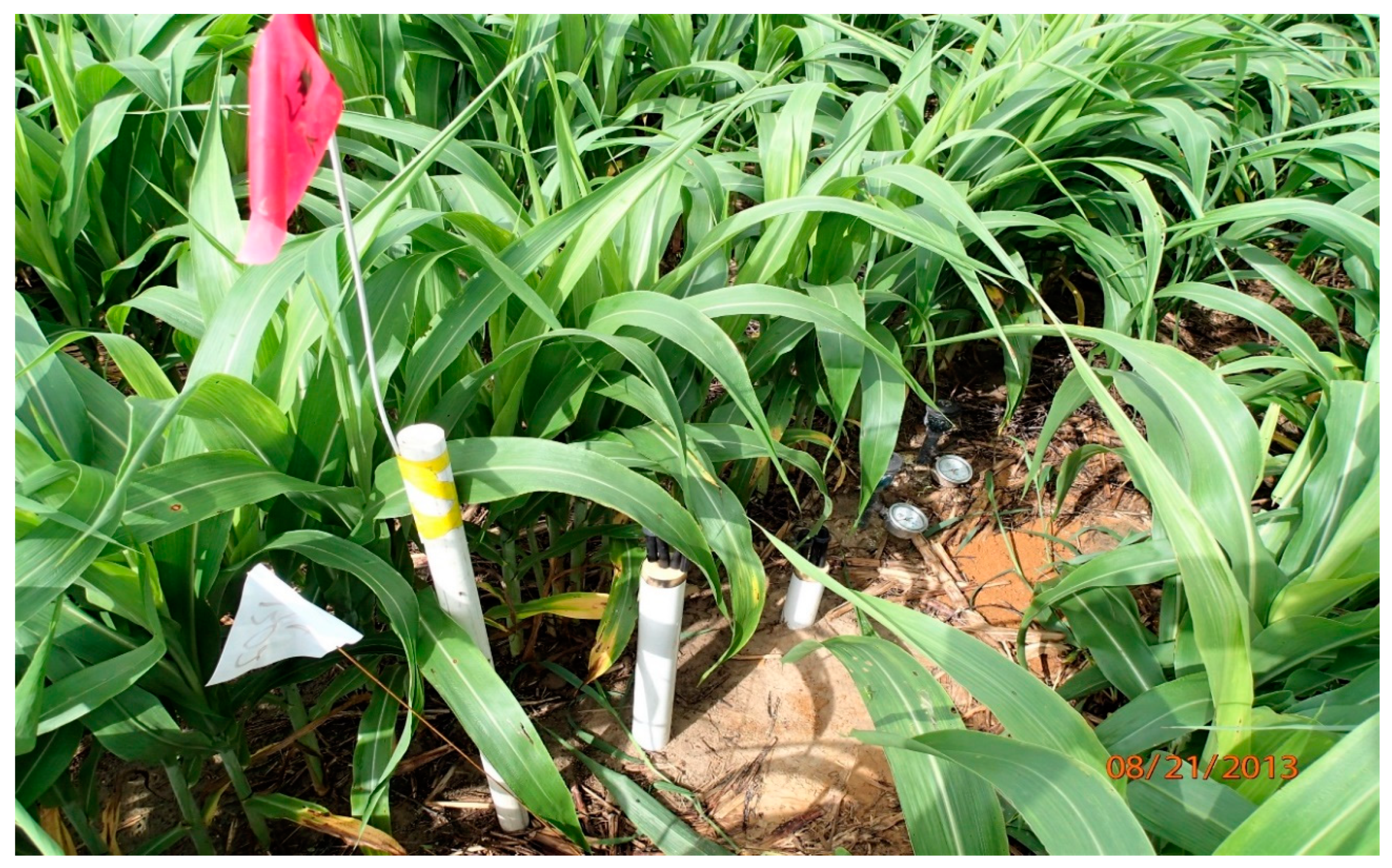 Sustainability 12 08358 g003