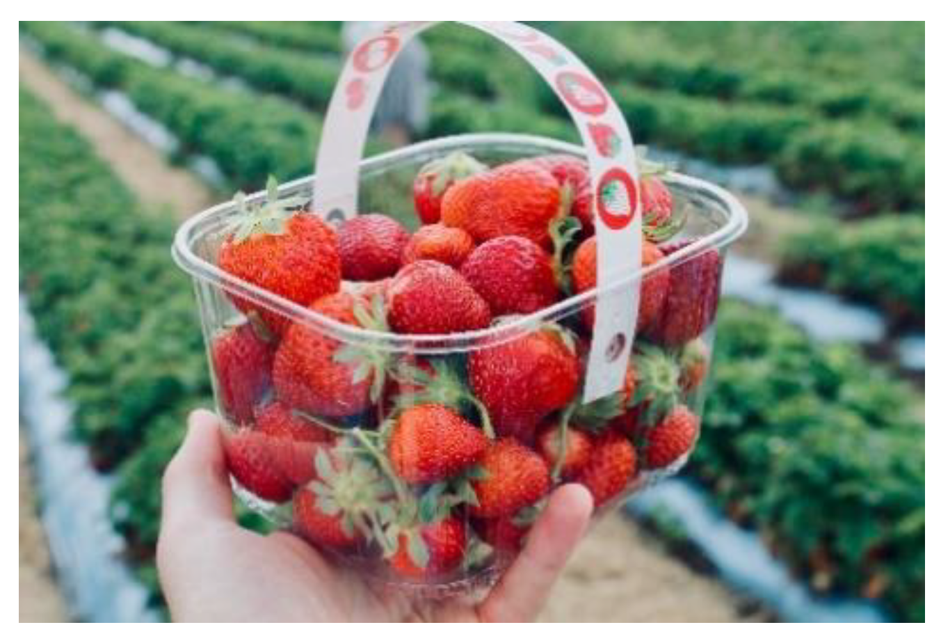 Sustainability 12 08360 g025 Sustainability 12 08360 g025