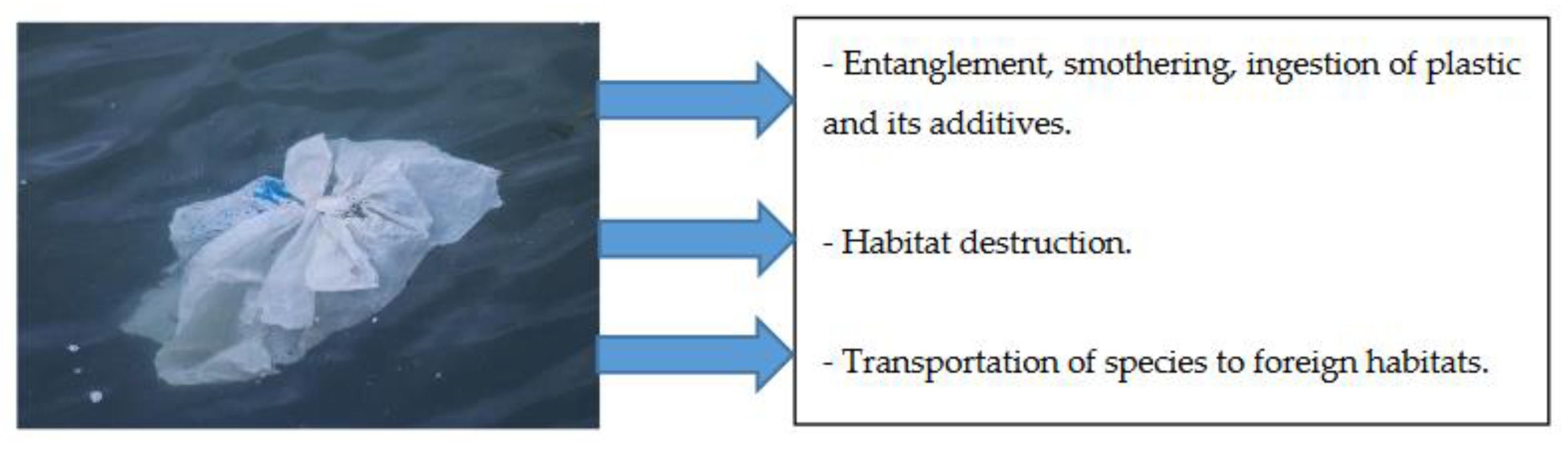 Sustainability 12 08360 g039 Sustainability 12 08360 g039