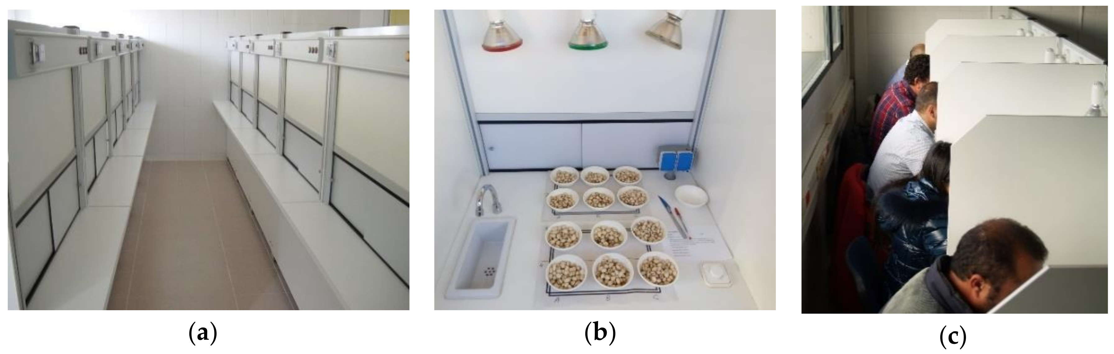 Sustainability 12 08437 g005