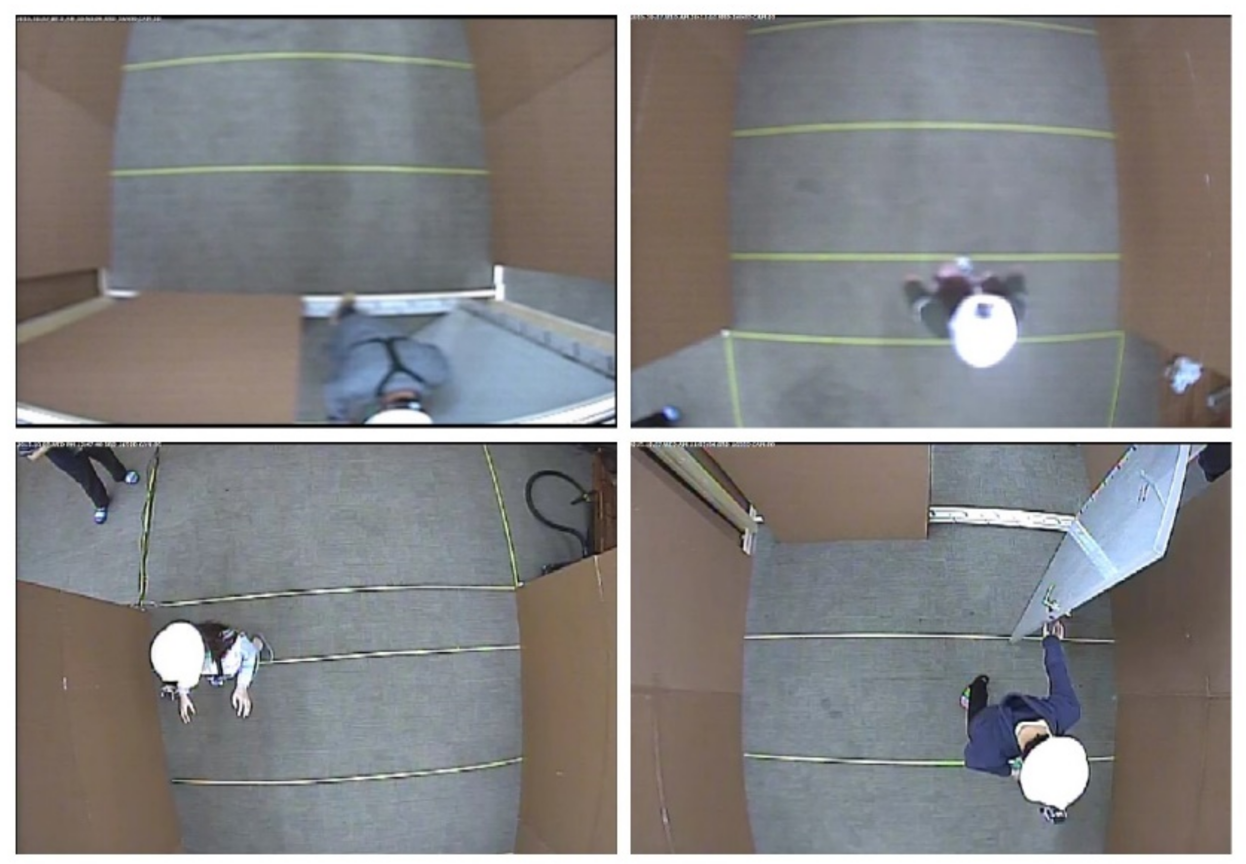 Sustainability 12 08453 g005