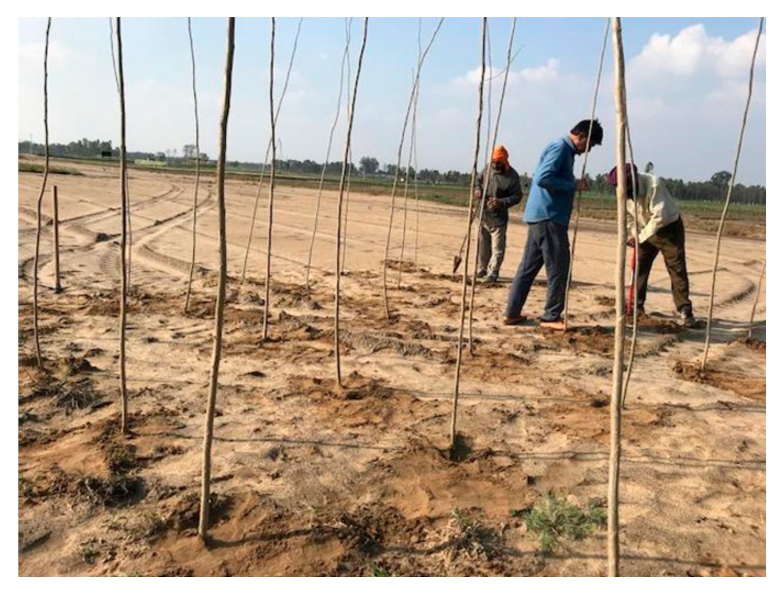 Sustainability 12 08472 g002