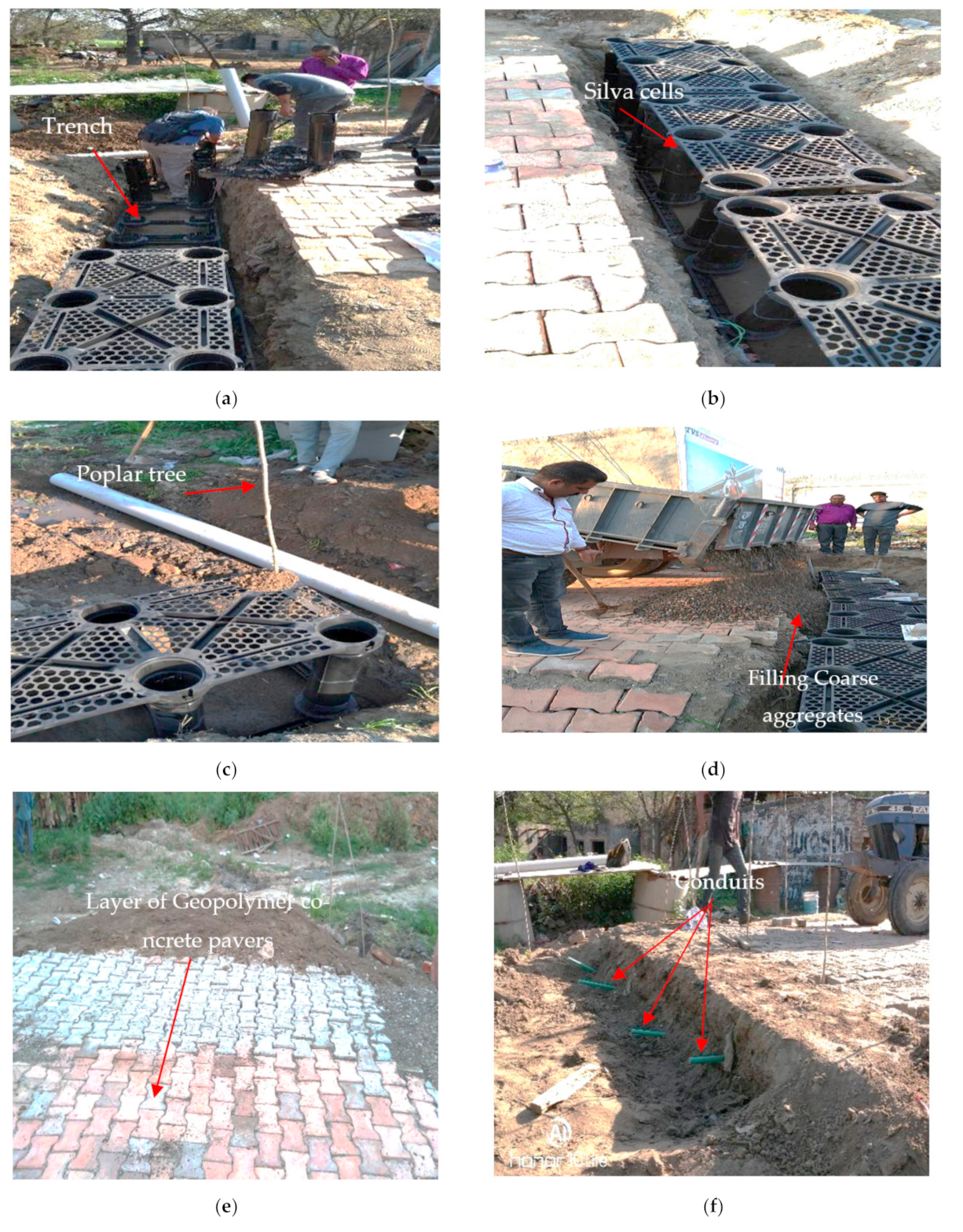 Sustainability 12 08472 g005