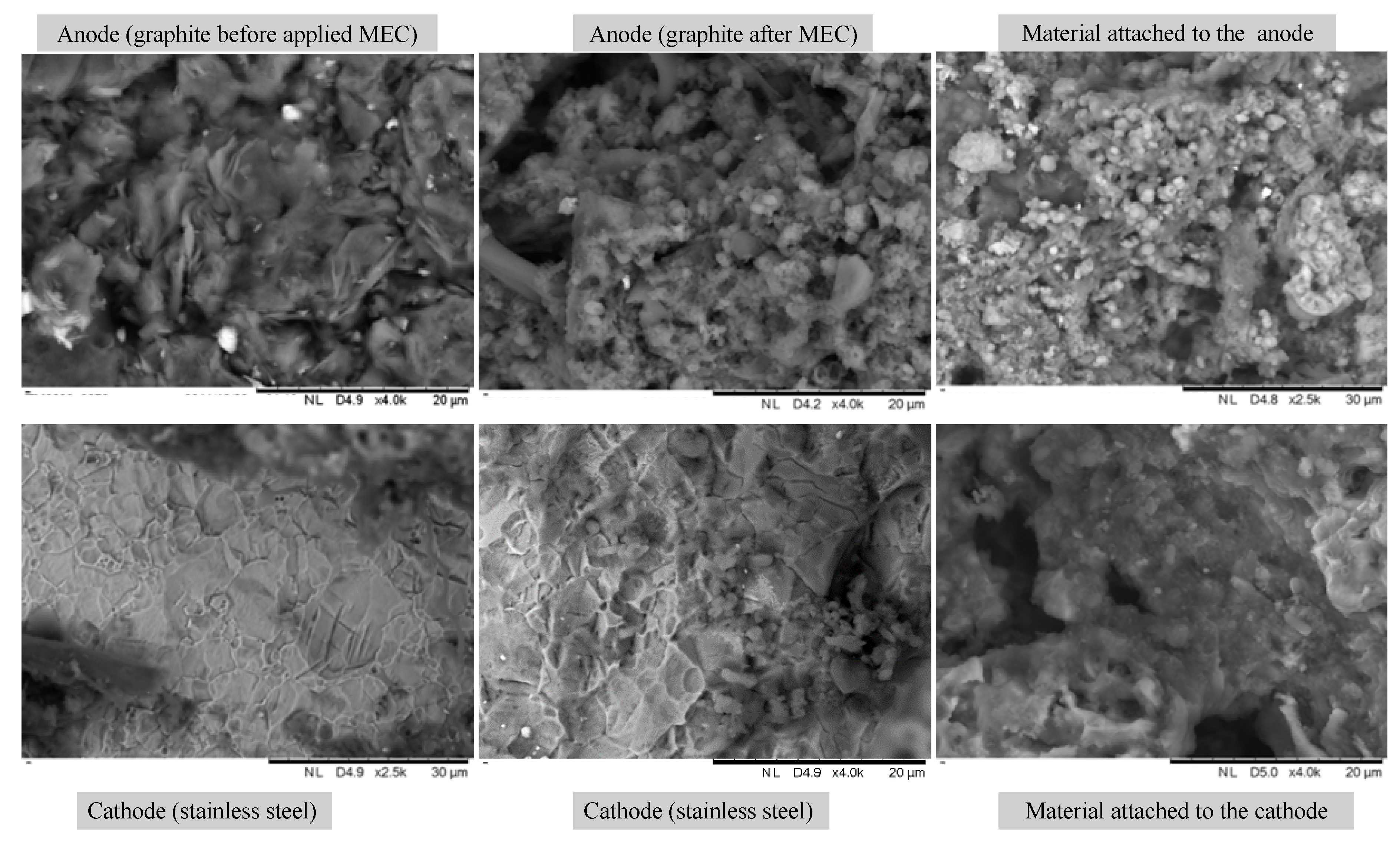 Sustainability 12 08491 g002