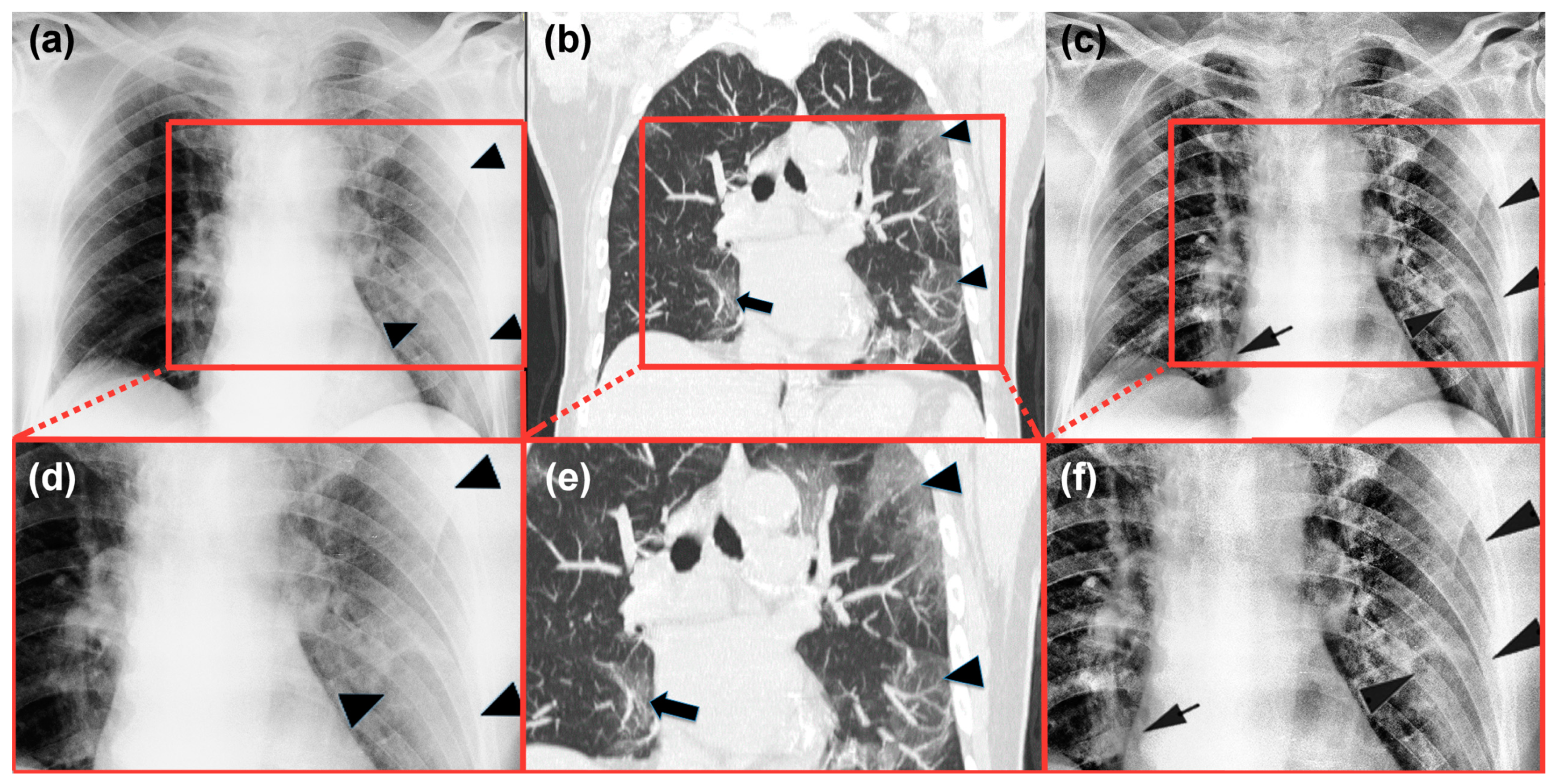 Sustainability 12 08573 g005