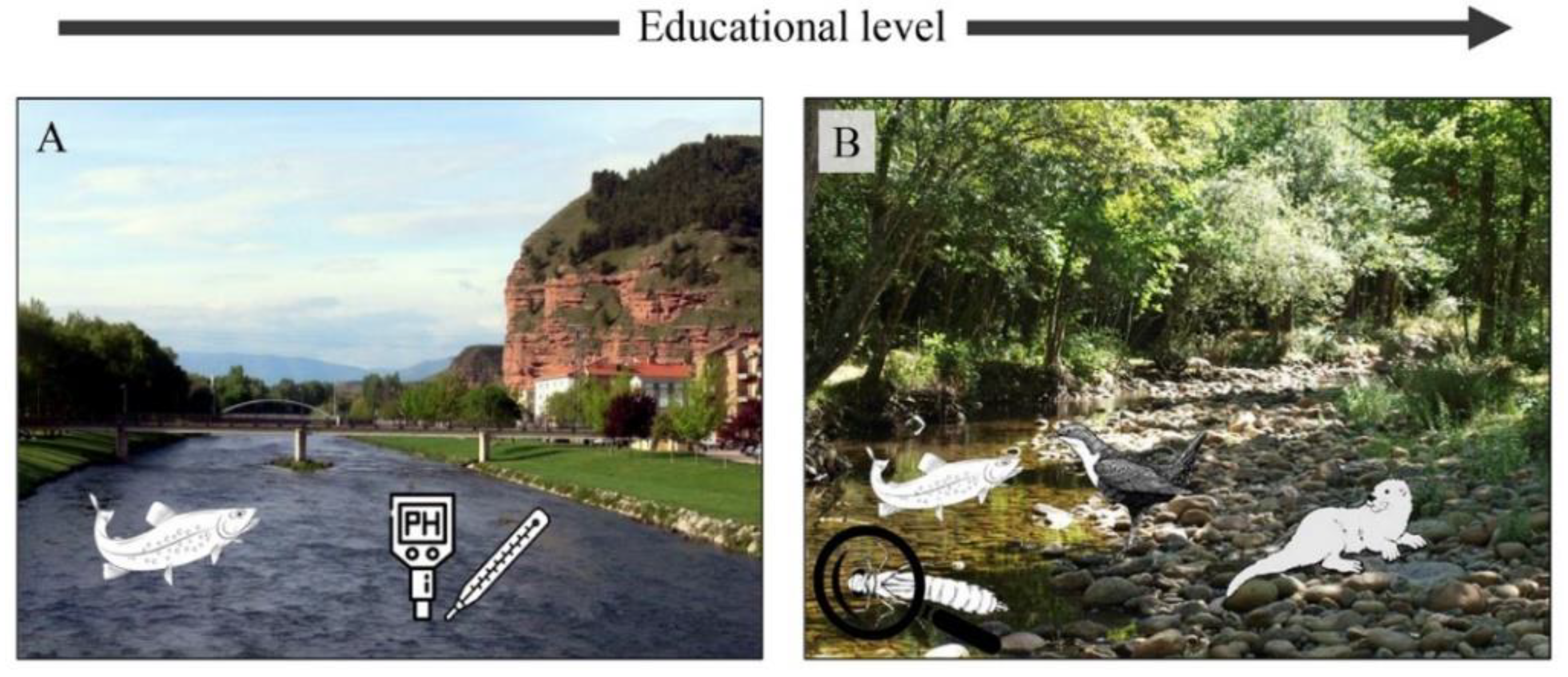 Sustainability 12 08719 g007 Sustainability 12 08719 g007