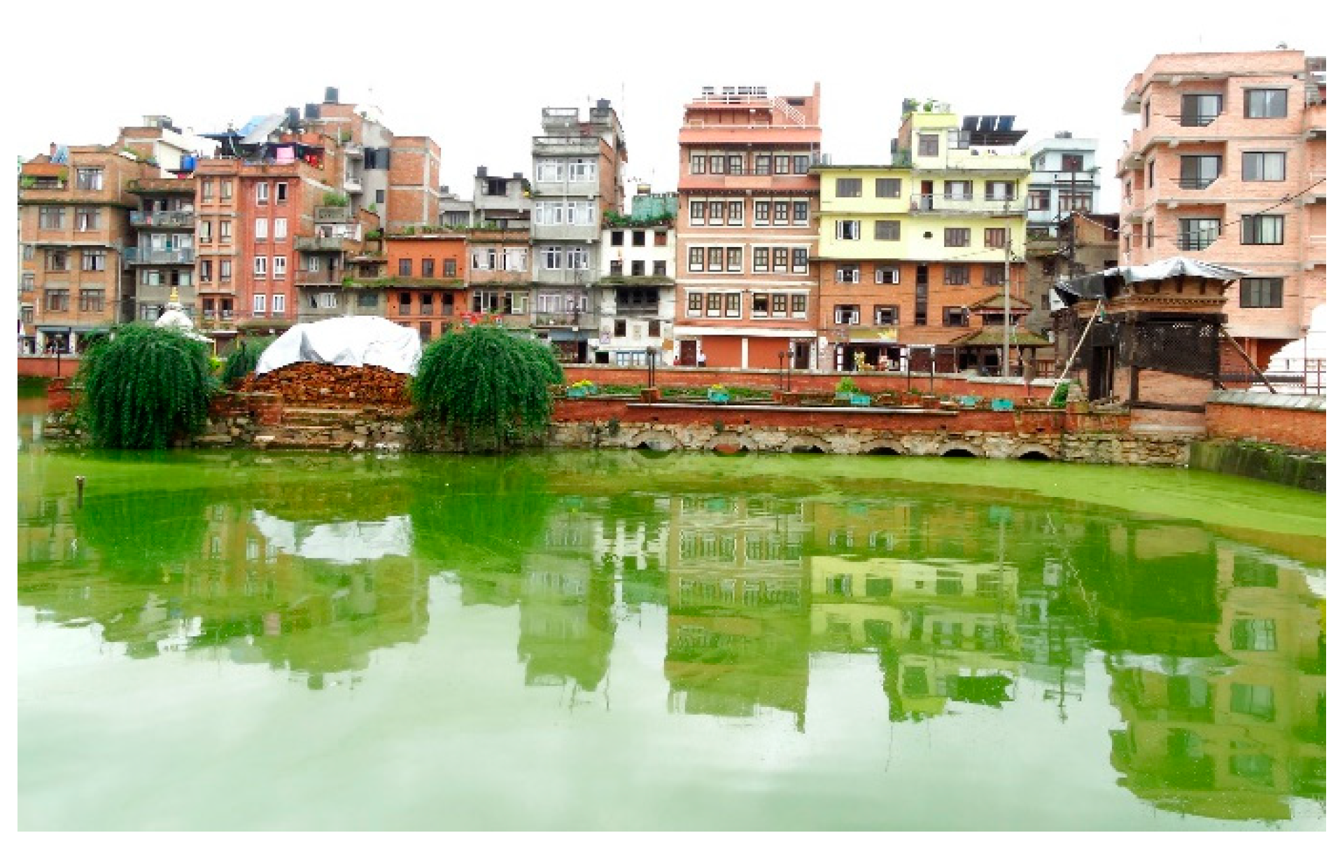 Sustainability 12 08720 g002a