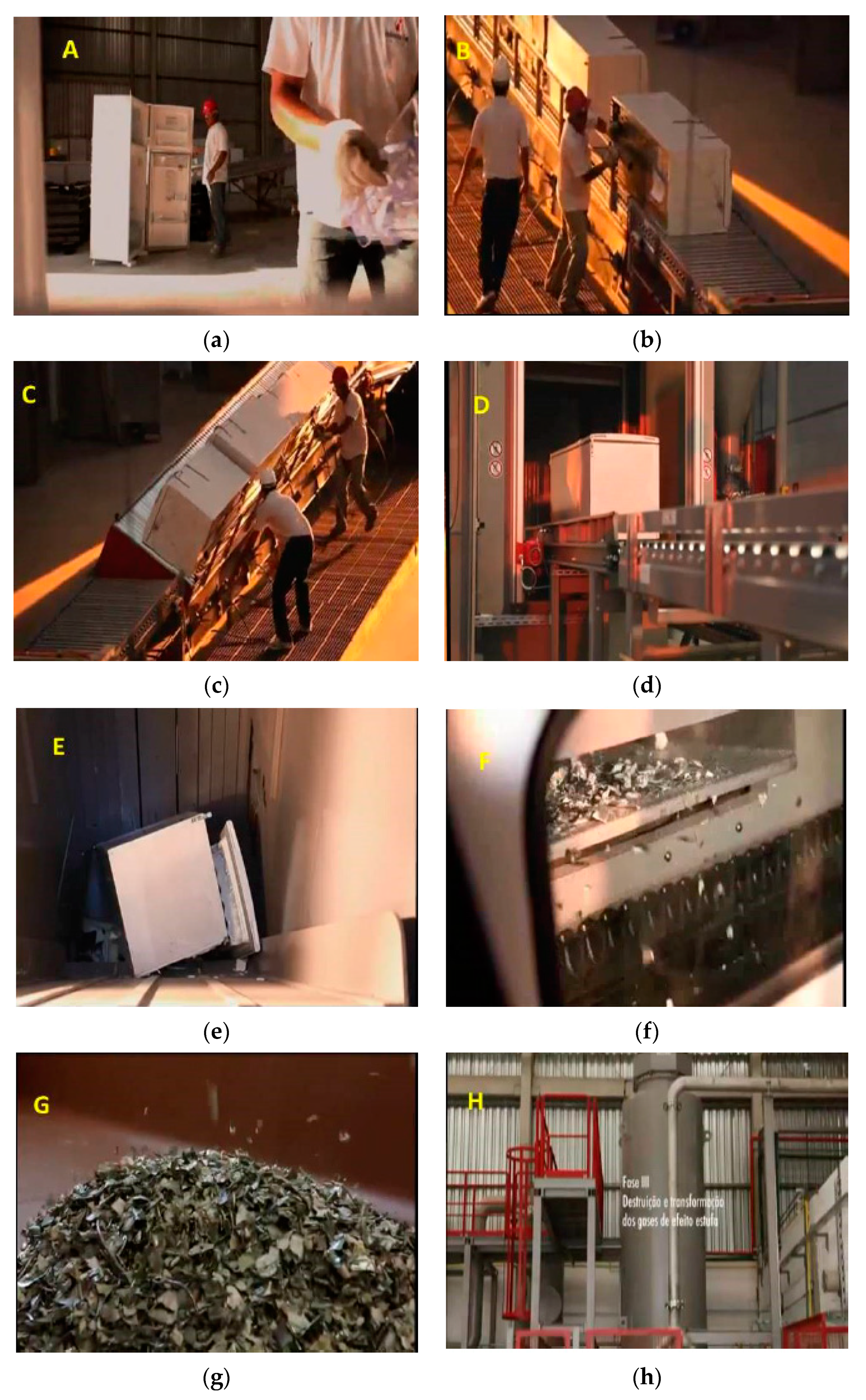 Sustainability 12 08731 g001 Sustainability 12 08731 g001