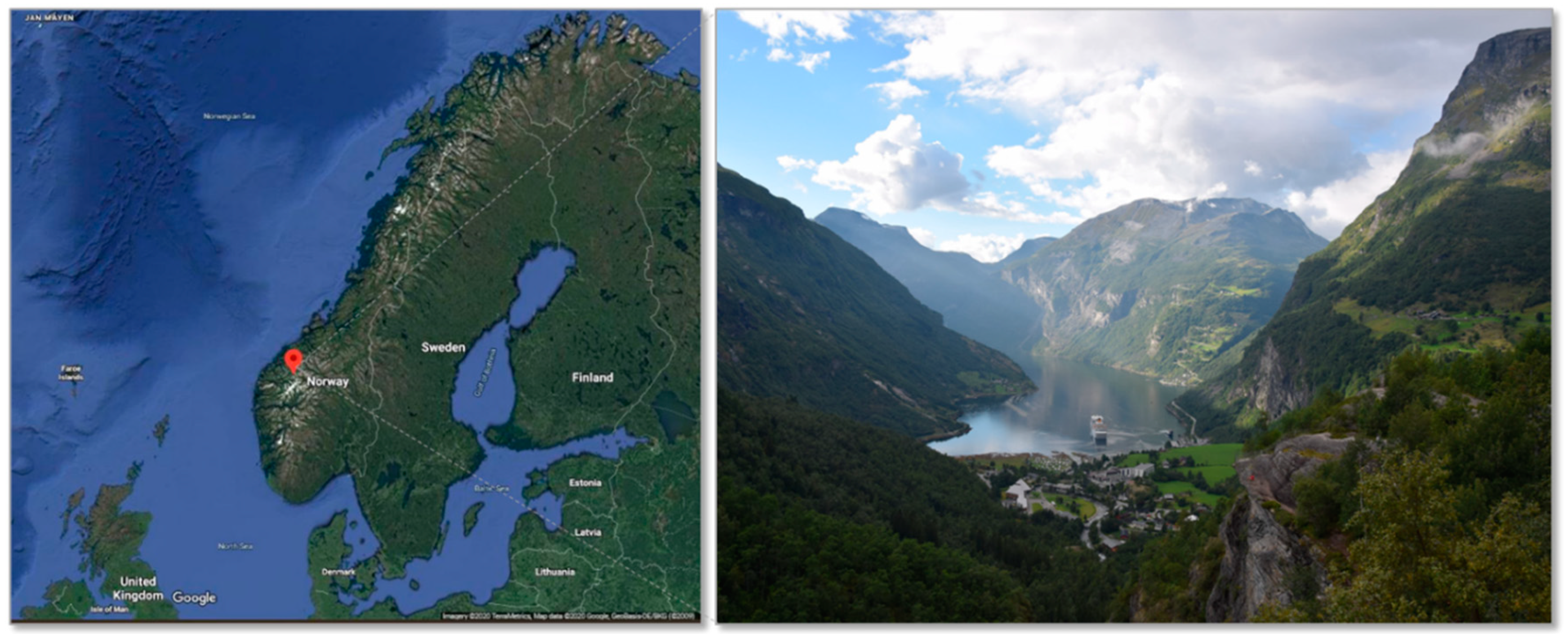 Sustainability 12 08825 g001 Sustainability 12 08825 g001