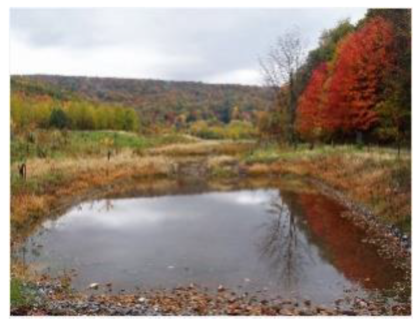 Sustainability 12 08840 g004 550