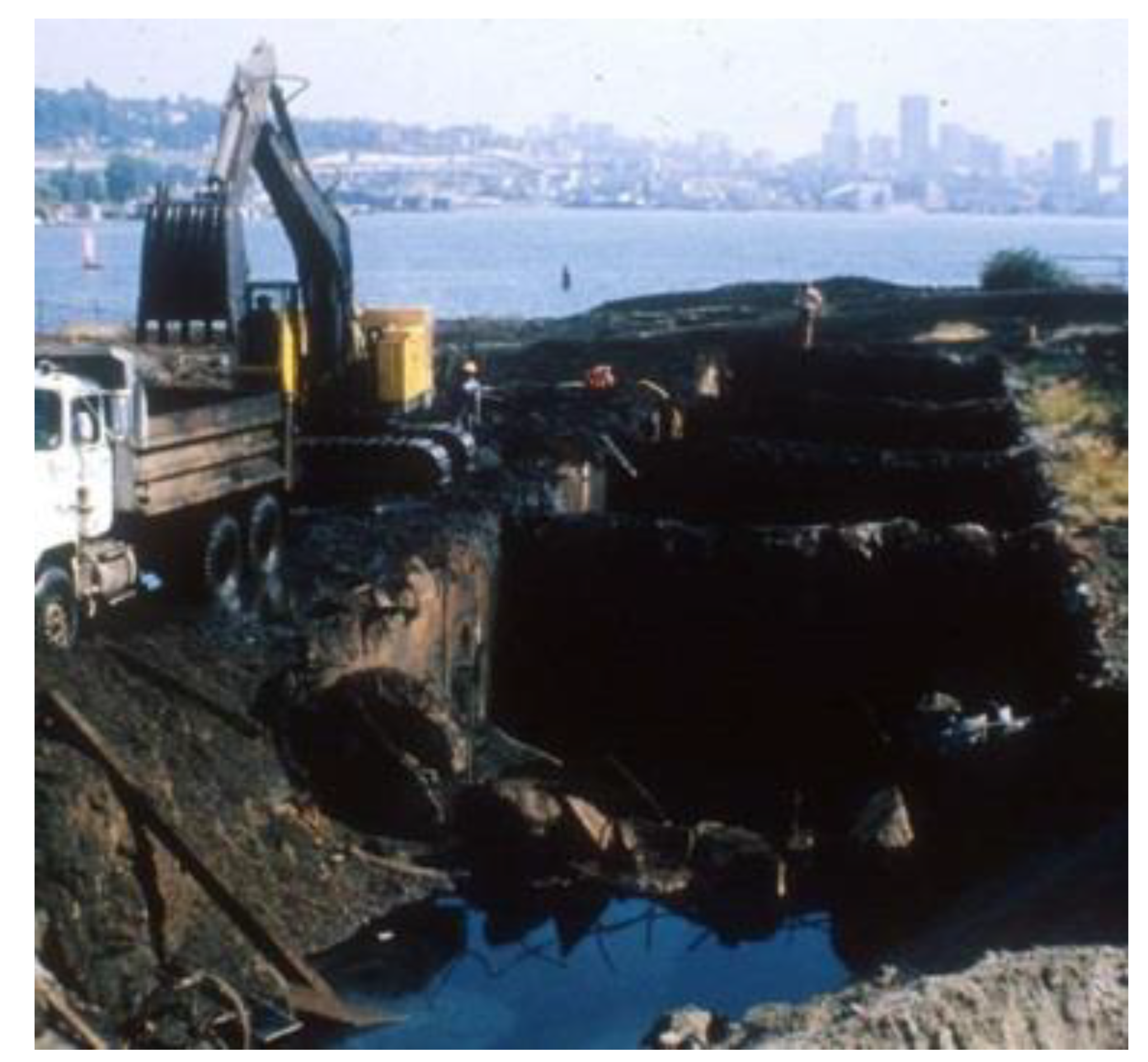 Sustainability 12 08840 g009 550