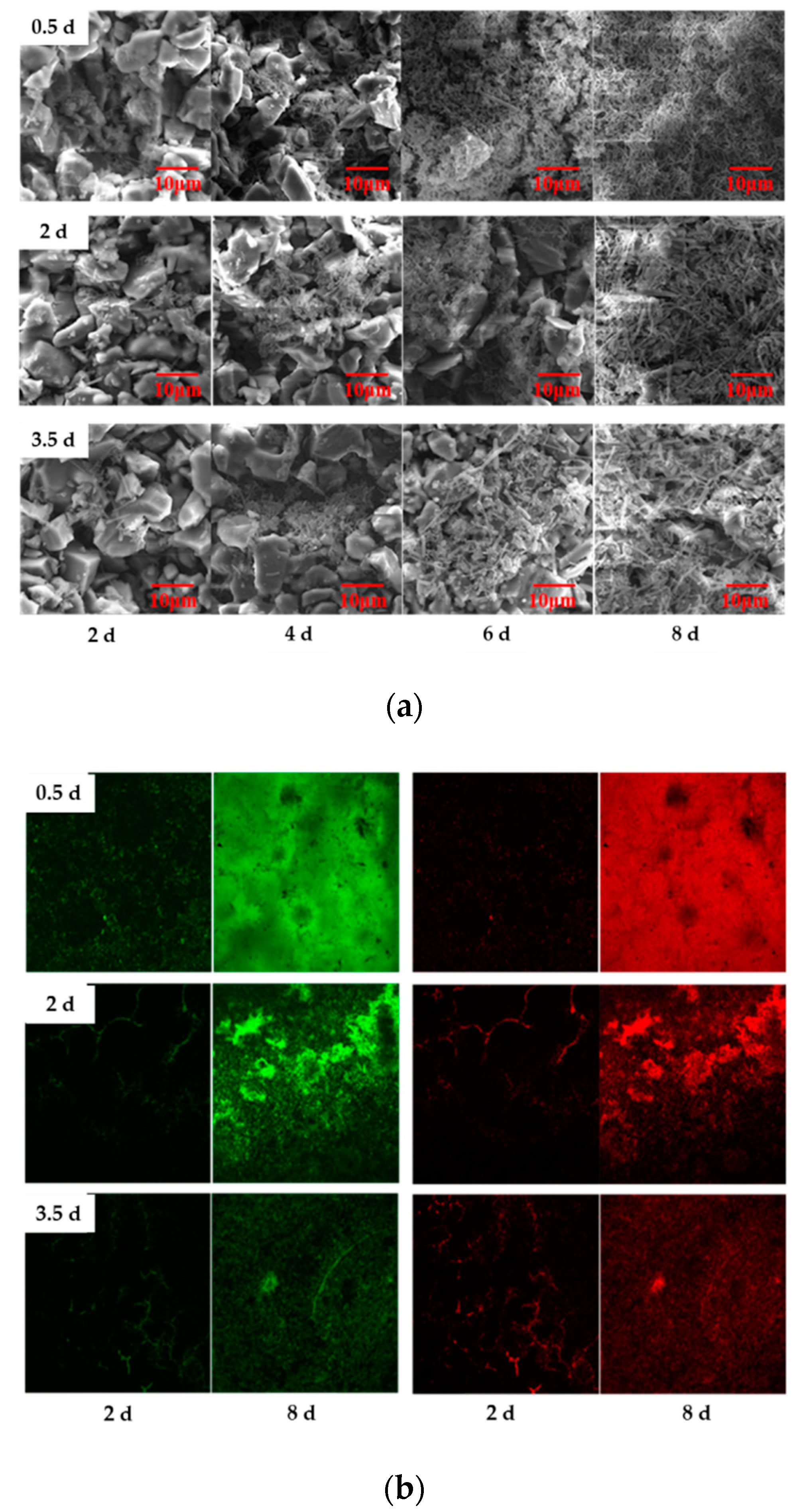 Sustainability 12 08863 g003 Sustainability 12 08863 g003