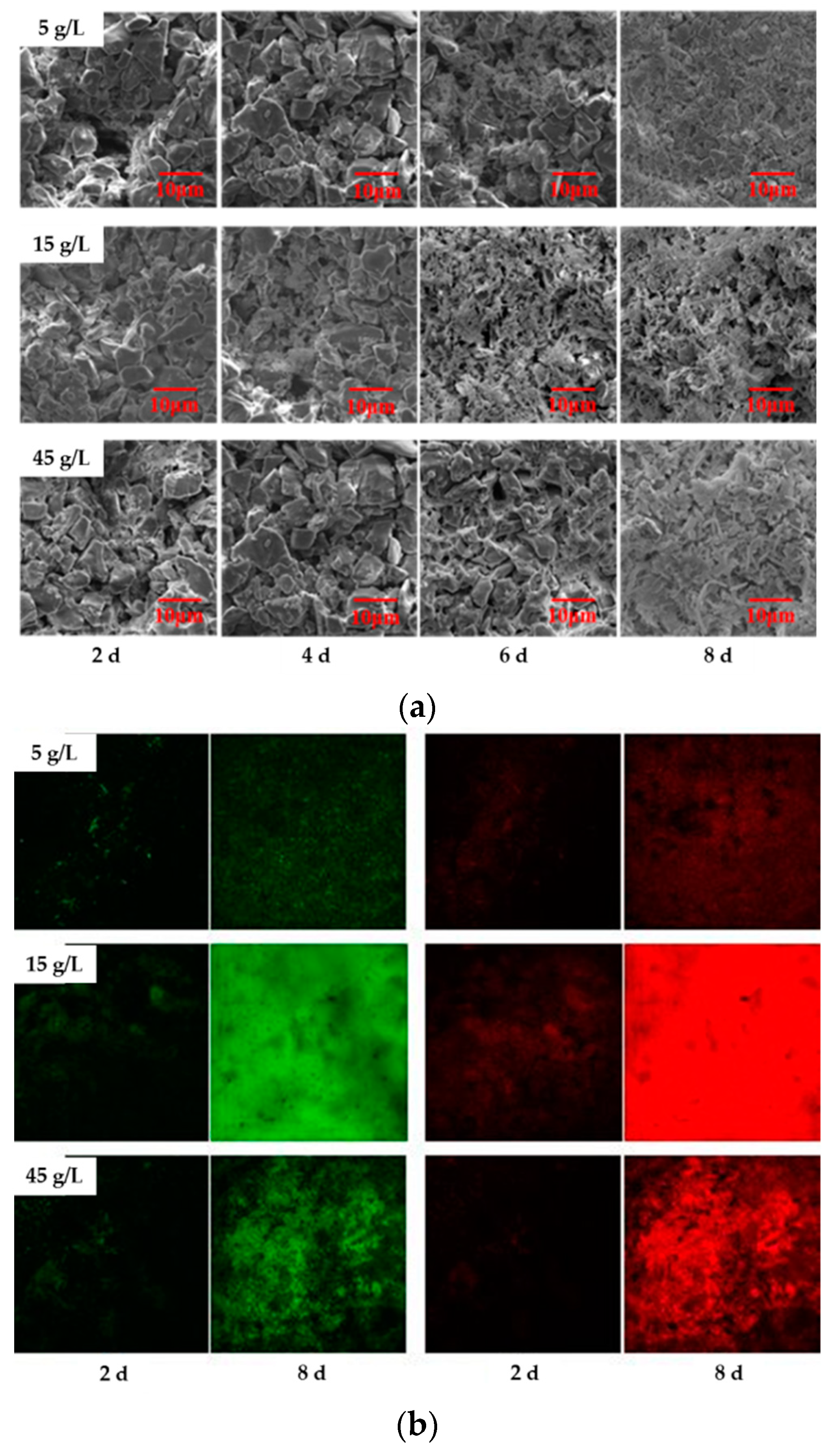 Sustainability 12 08863 g005 Sustainability 12 08863 g005