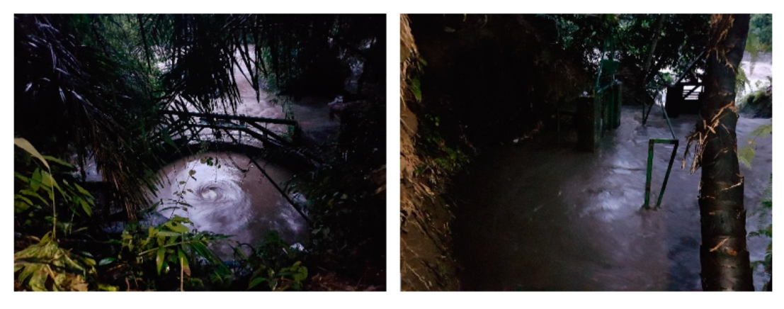 Sustainability 12 08873 g059 Sustainability 12 08873 g059