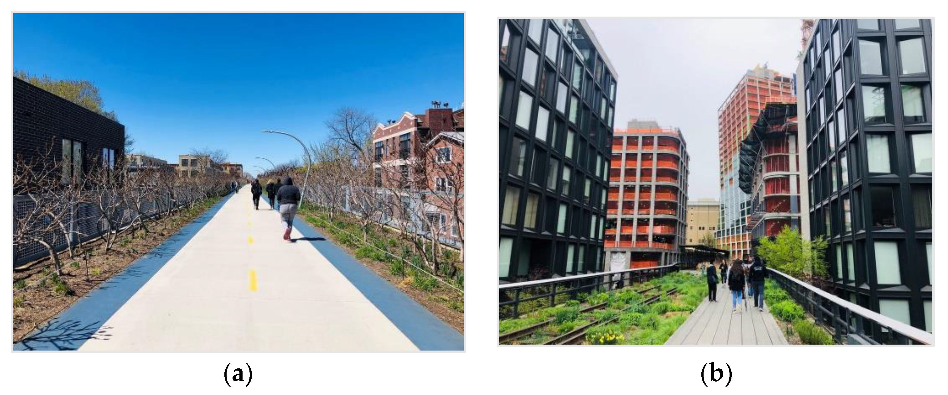 Highline – NYC Public Spaces