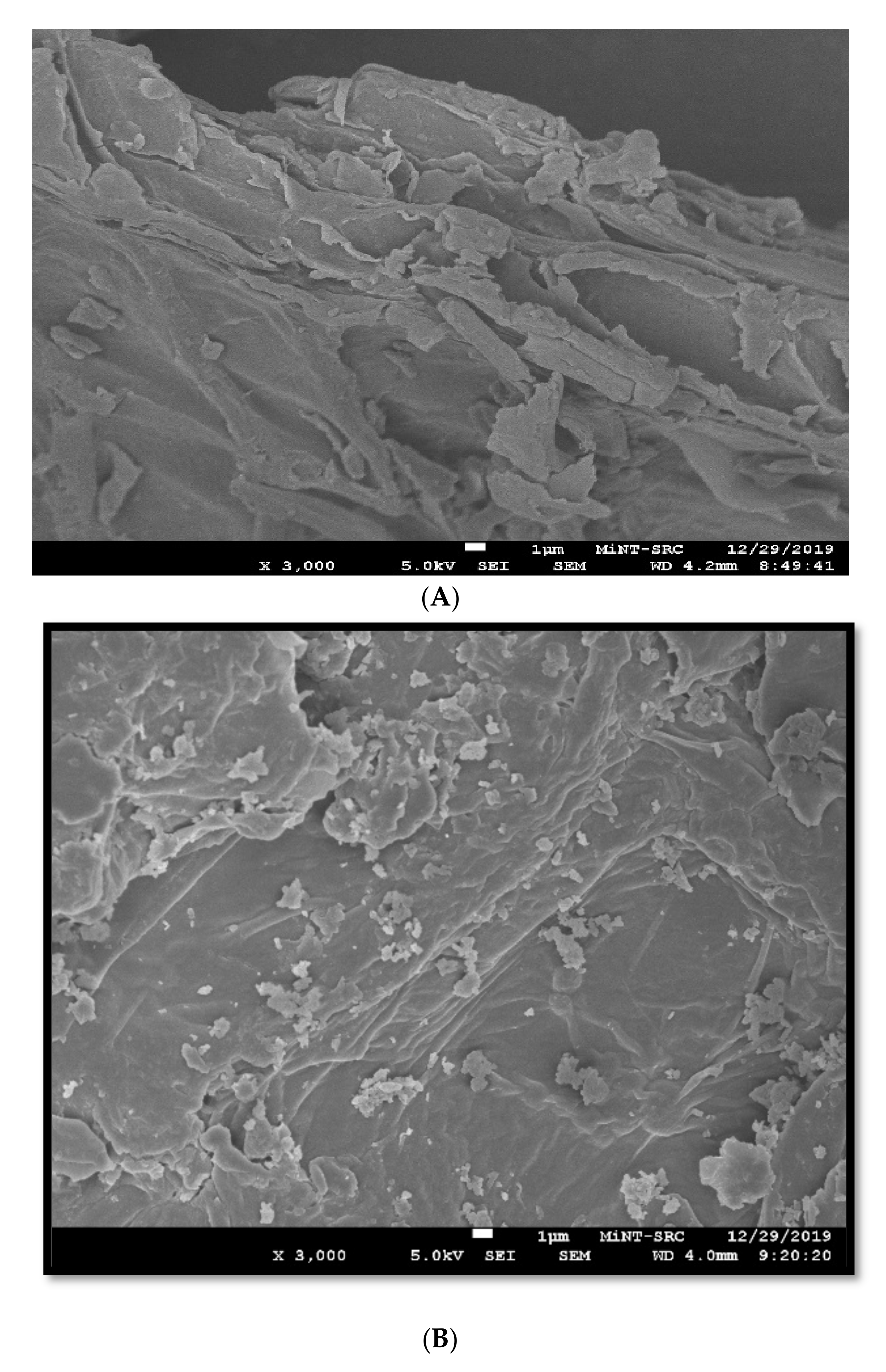 Sustainability 12 08928 g002