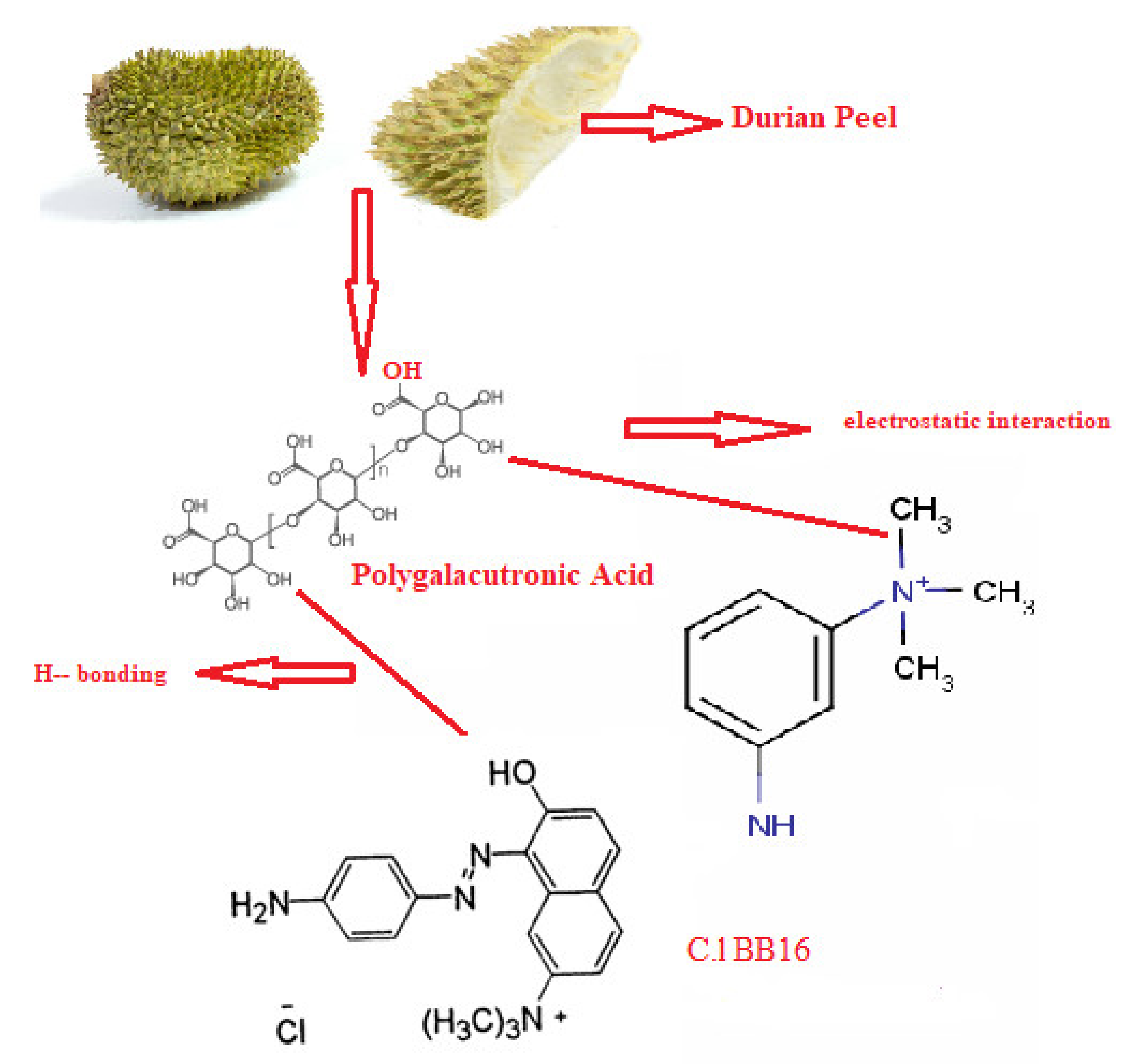 Sustainability 12 08928 g007