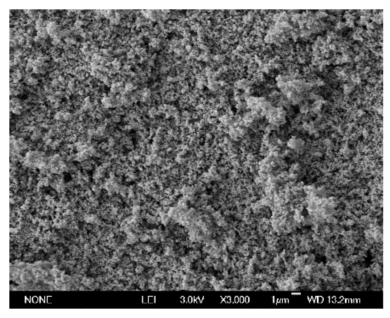 Sustainability 12 08968 g006