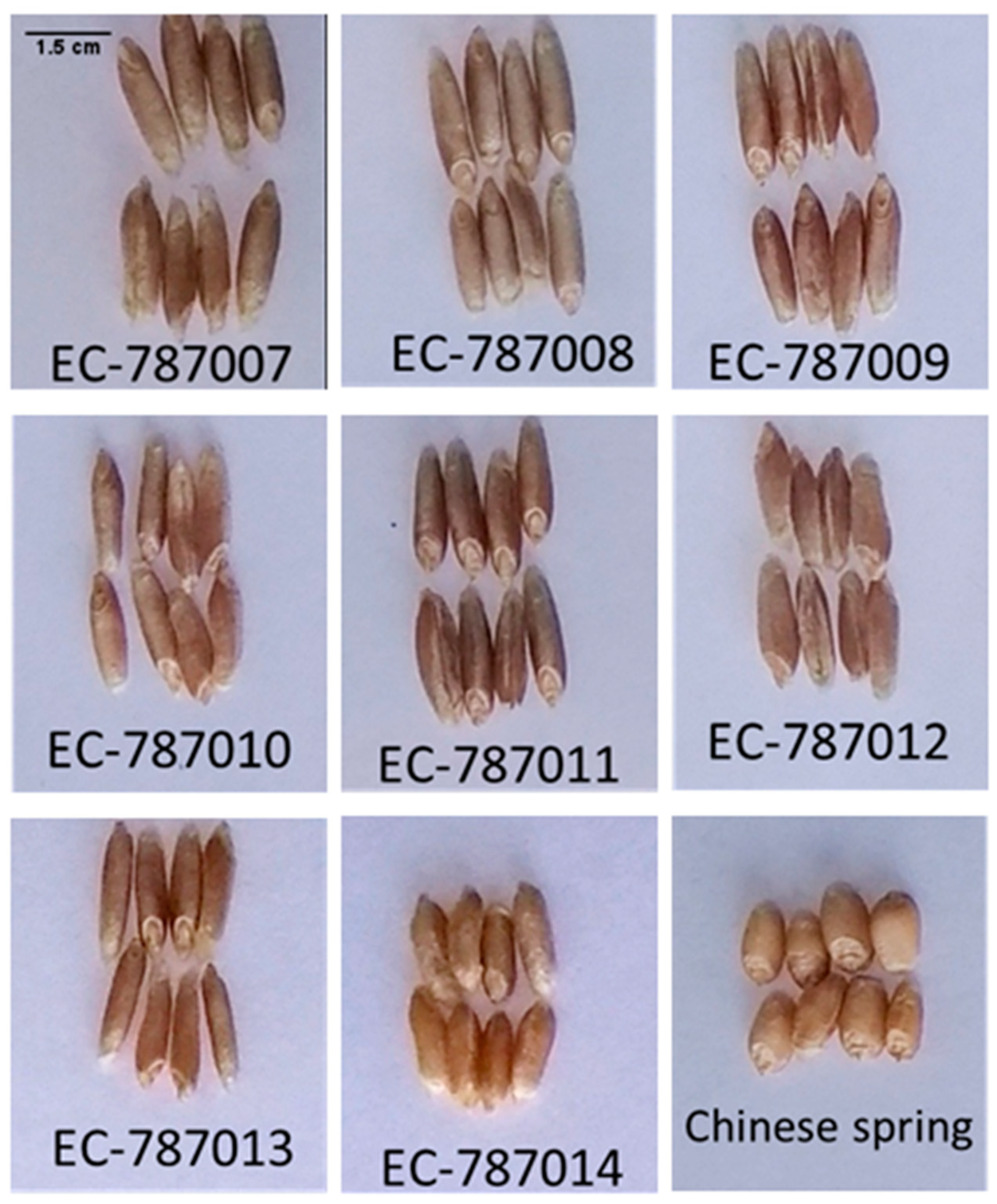 Sustainability 12 08975 g001