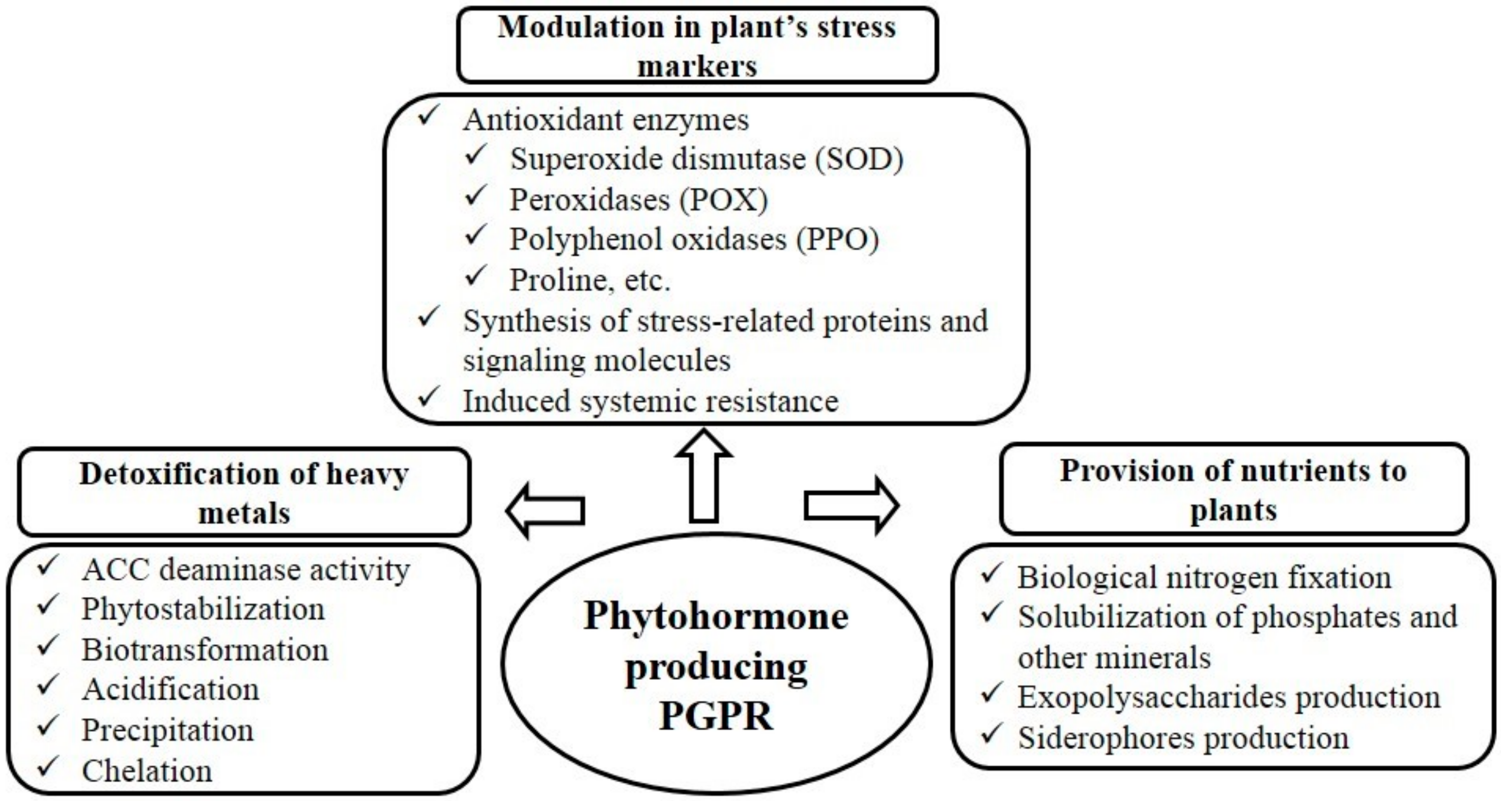 Sustainability 12 09056 g001 Sustainability 12 09056 g001