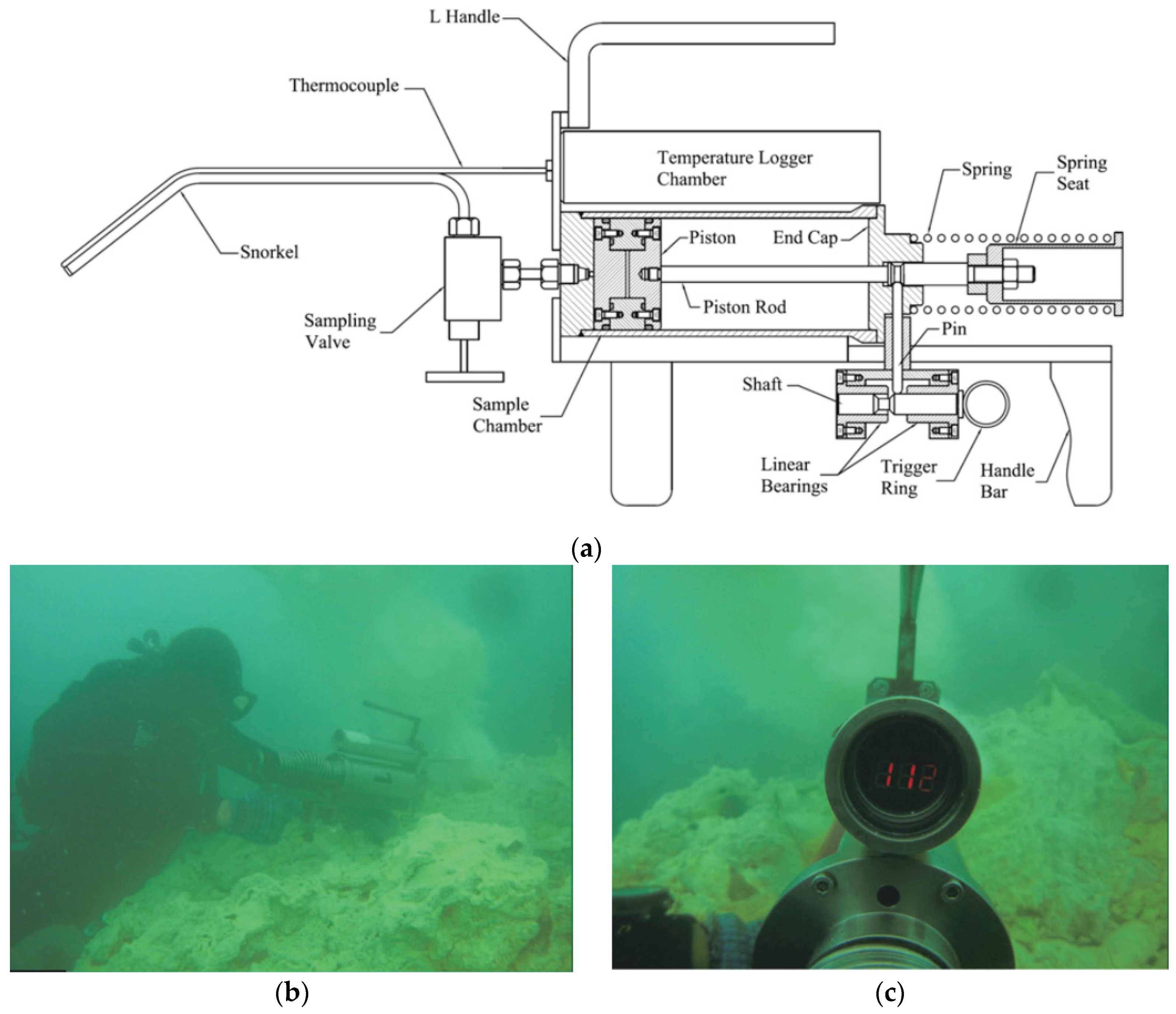 Sustainability 12 09109 g013