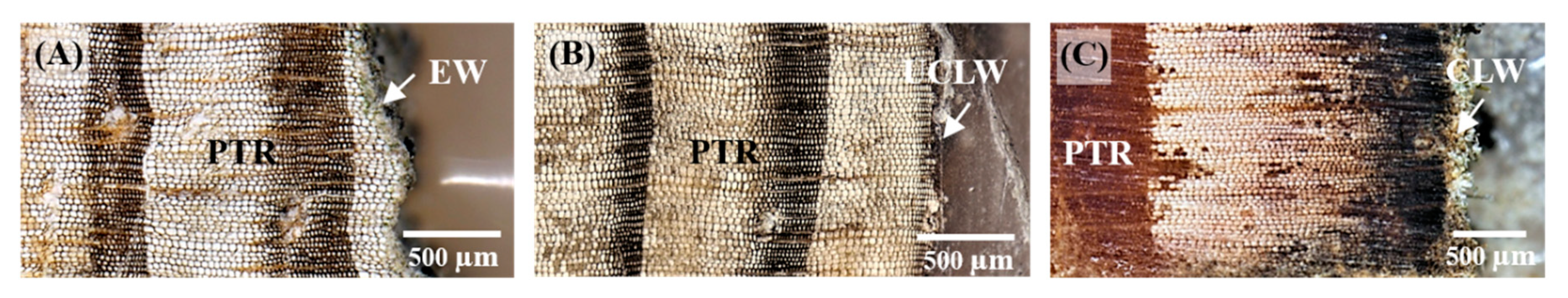 Sustainability 12 09118 g003 Sustainability 12 09118 g003