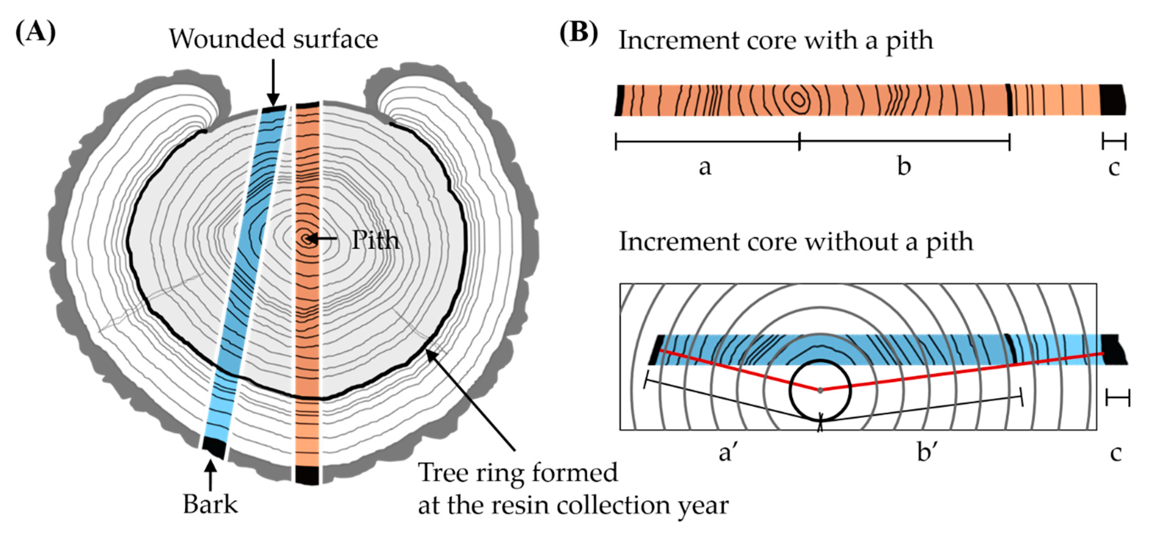 Sustainability 12 09118 g004 Sustainability 12 09118 g004