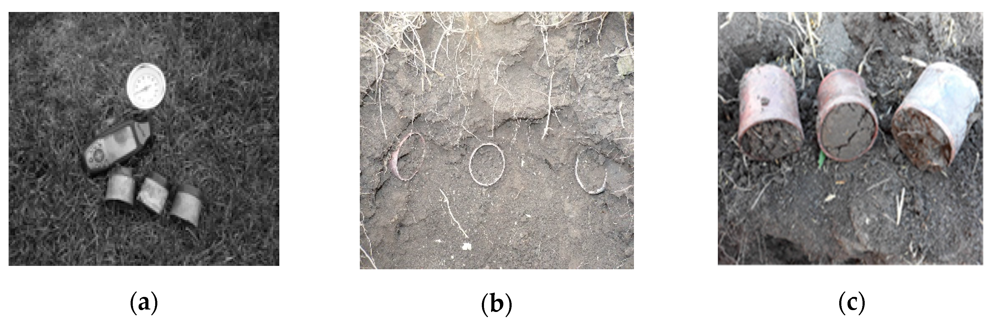 Sustainability 12 09174 g003 Sustainability 12 09174 g003