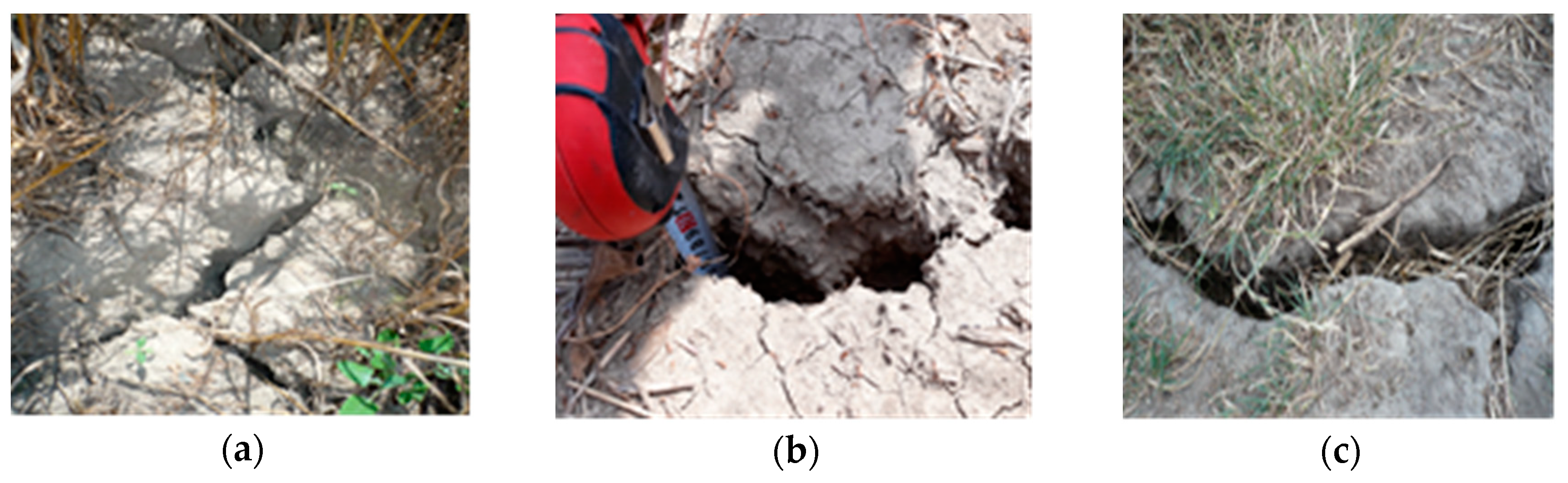 Sustainability 12 09174 g006 Sustainability 12 09174 g006