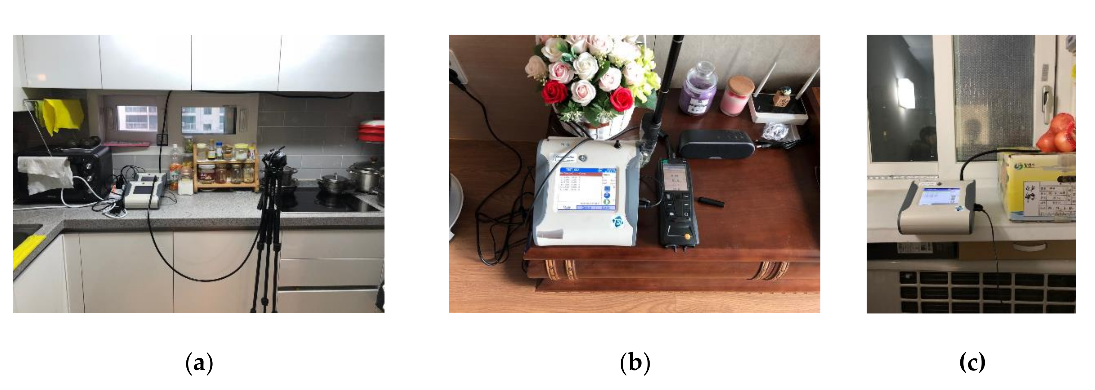 Sustainability 12 09201 g002