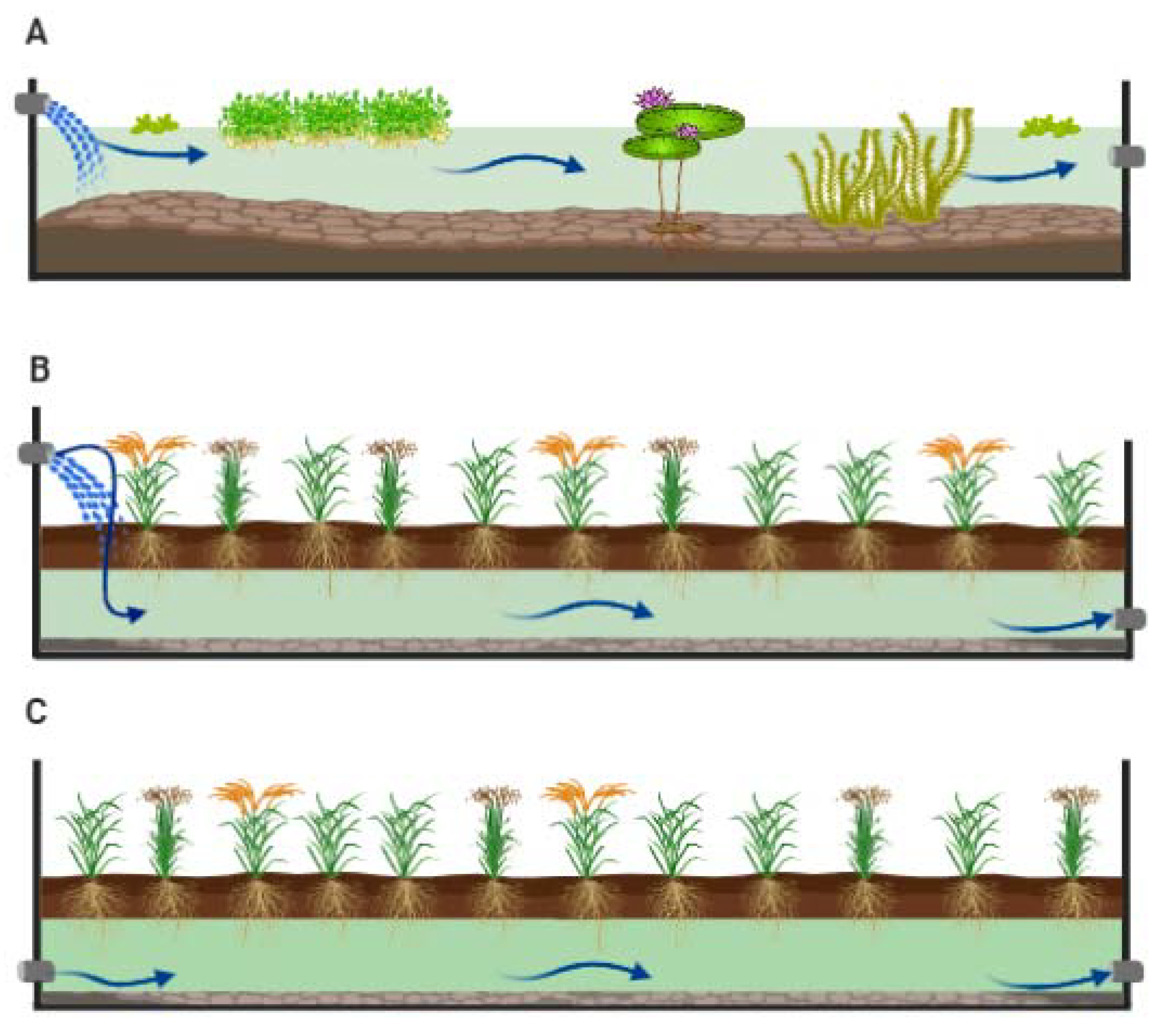 Sustainability 12 09202 g002 Sustainability 12 09202 g002