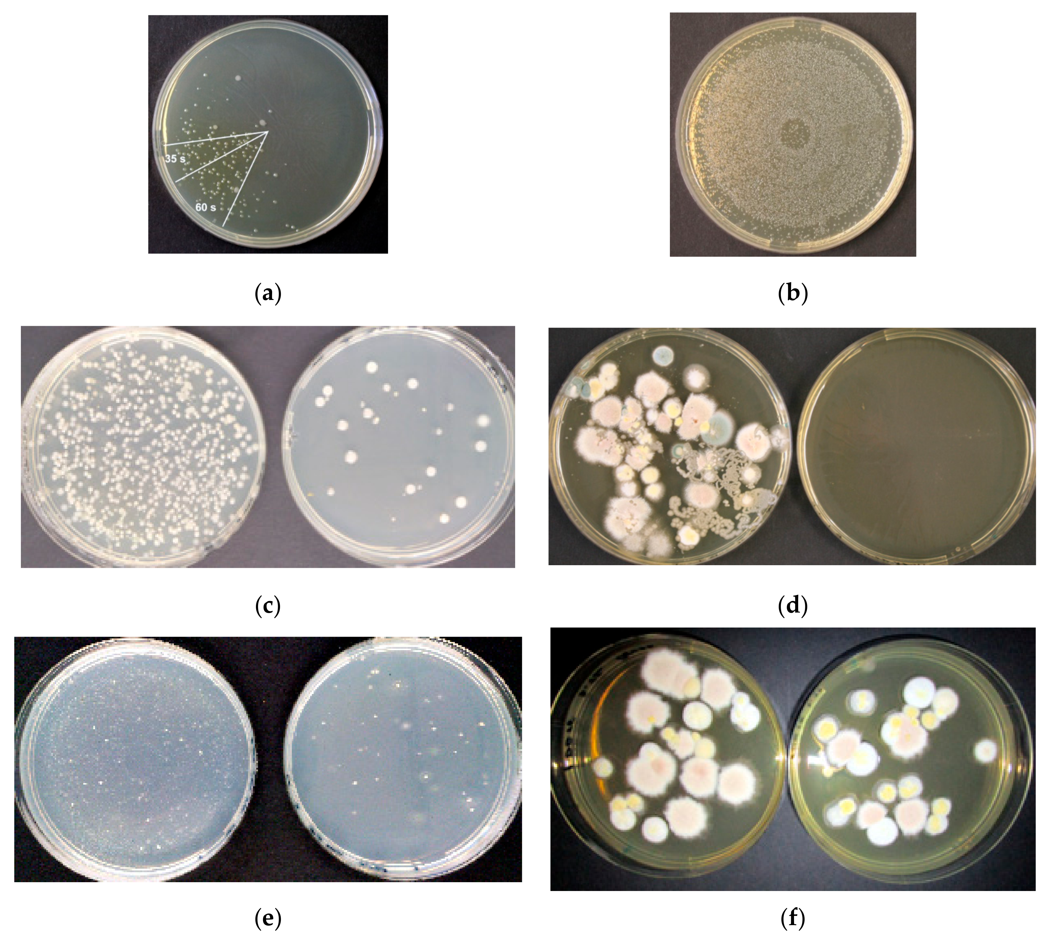 Sustainability 12 09240 g008
