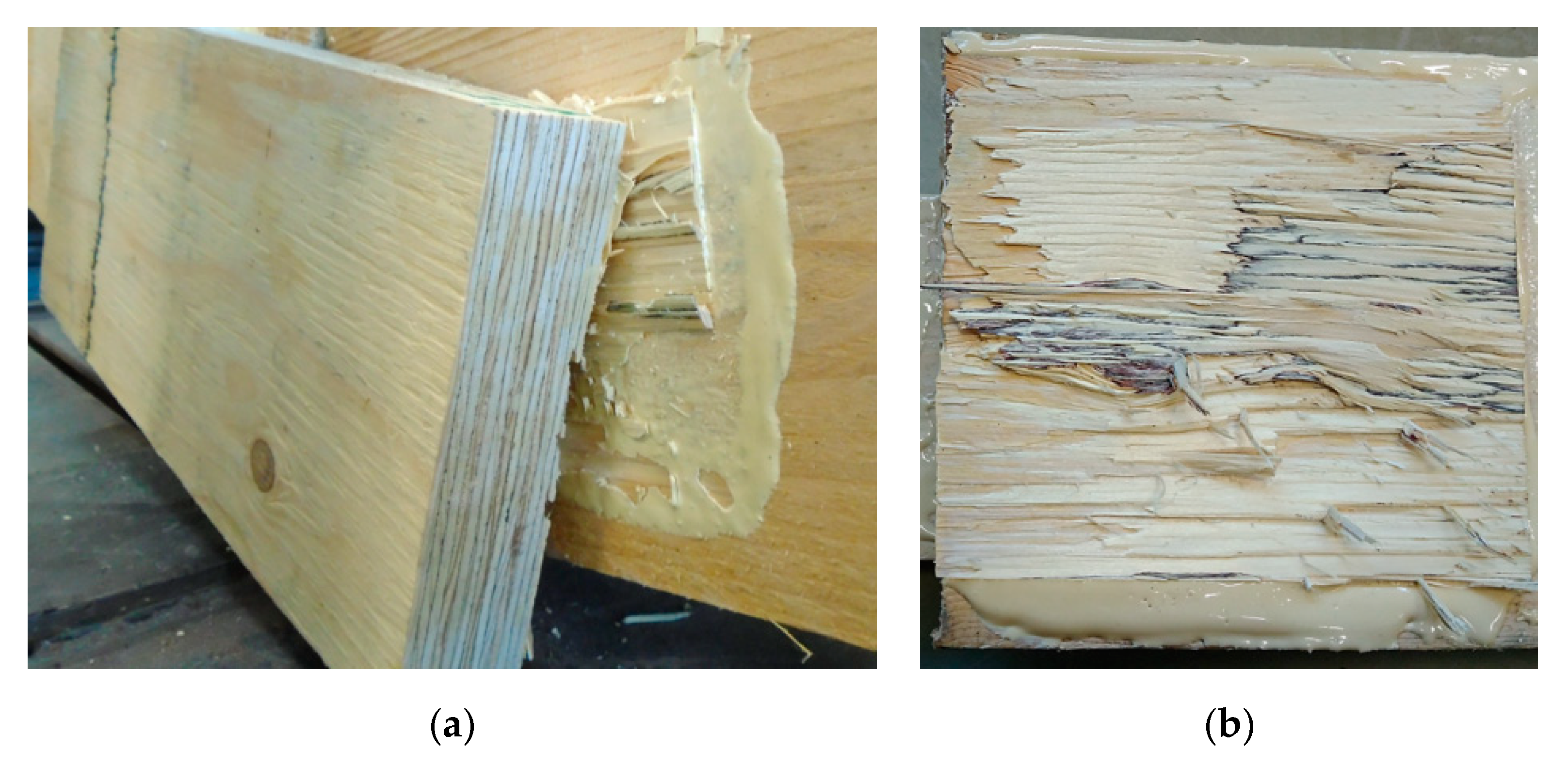 Sustainability 12 09288 g006