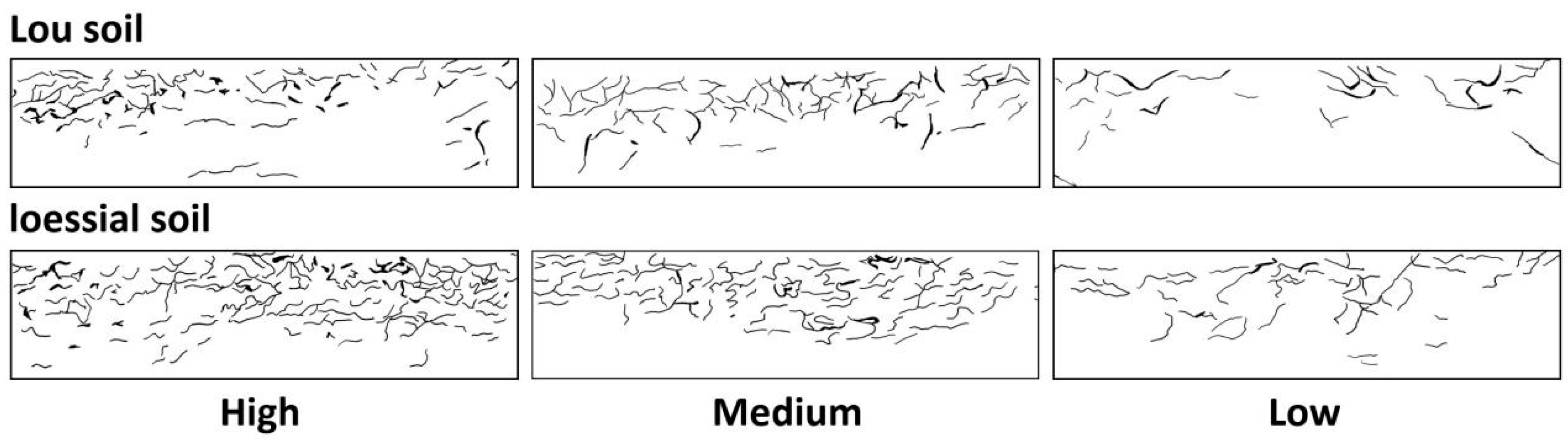 Sustainability 12 09303 g001 Sustainability 12 09303 g001