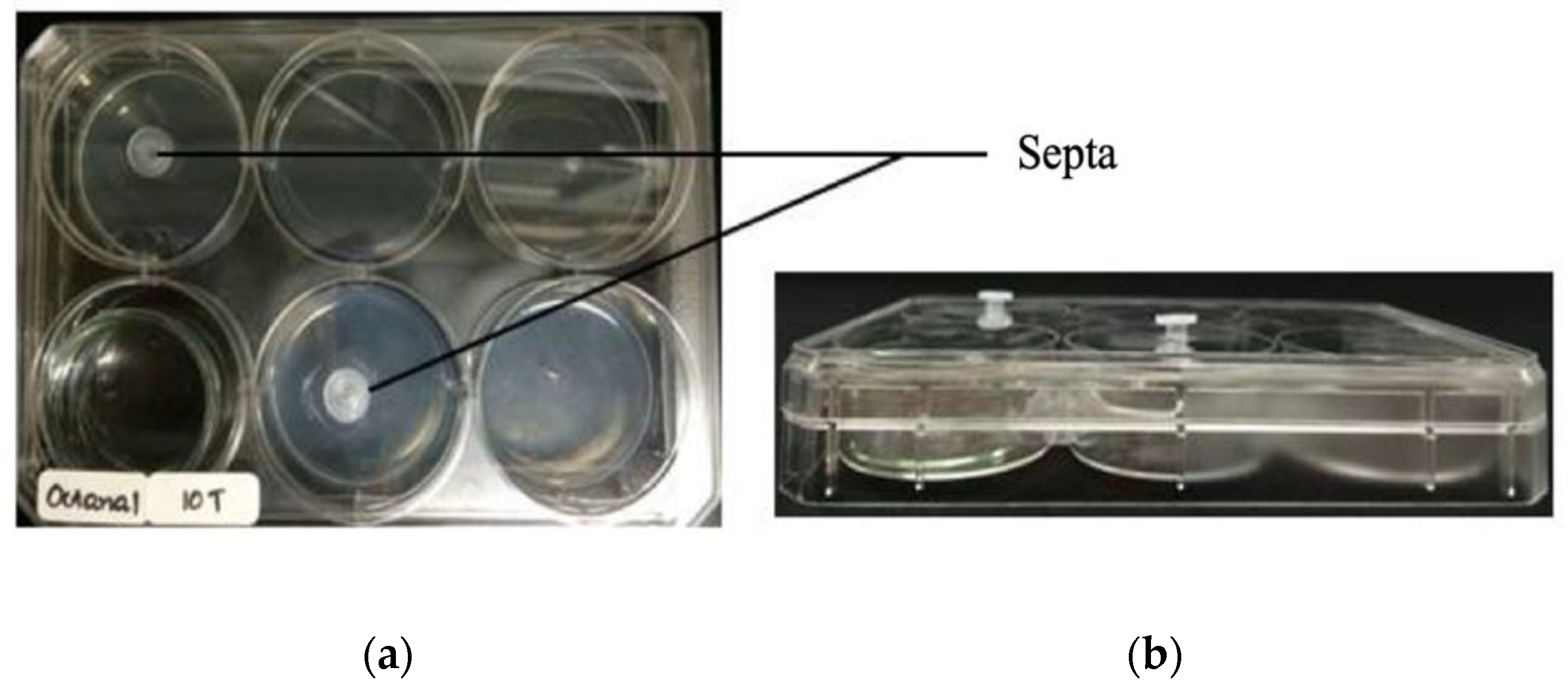 Sustainability 12 09334 g003