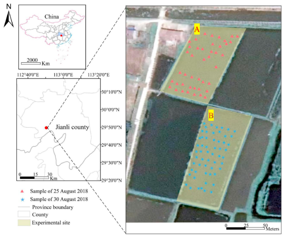 Sustainability 12 09343 g001 Sustainability 12 09343 g001
