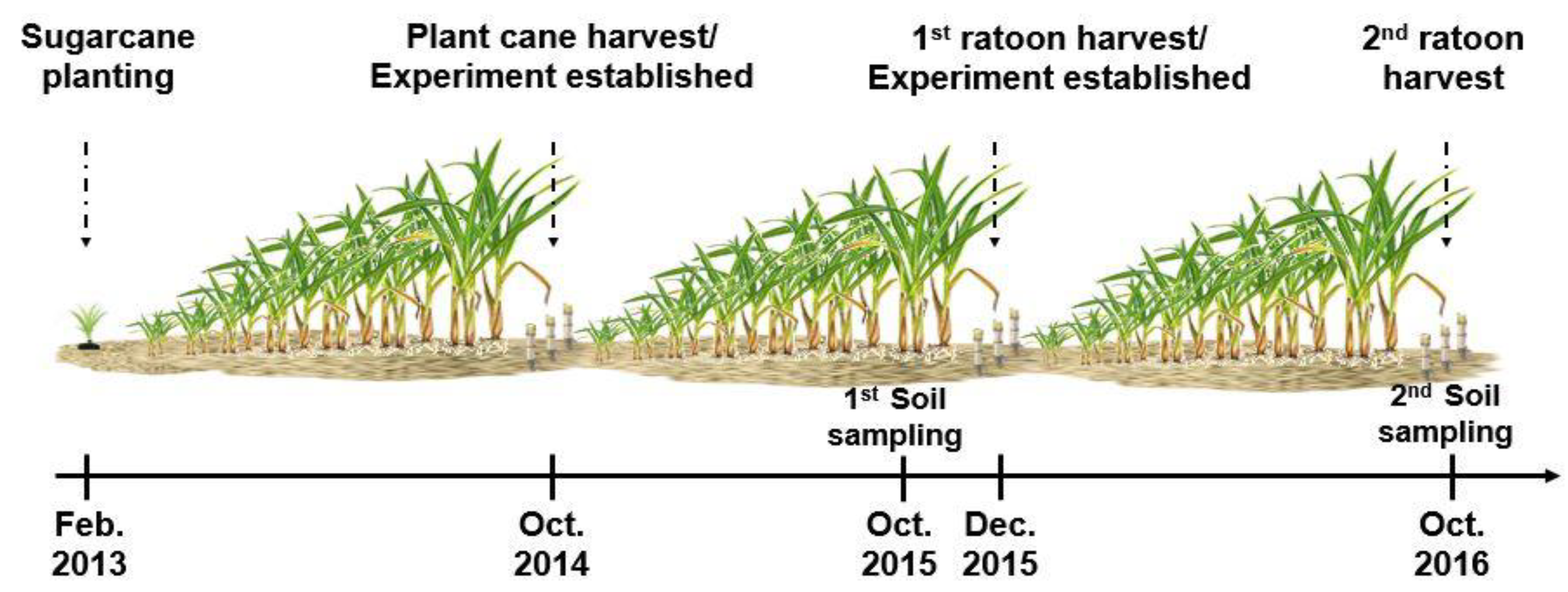 Sustainability 12 09363 g002 Sustainability 12 09363 g002